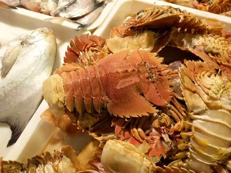 台州(三)| 小海鲜觅食全指南