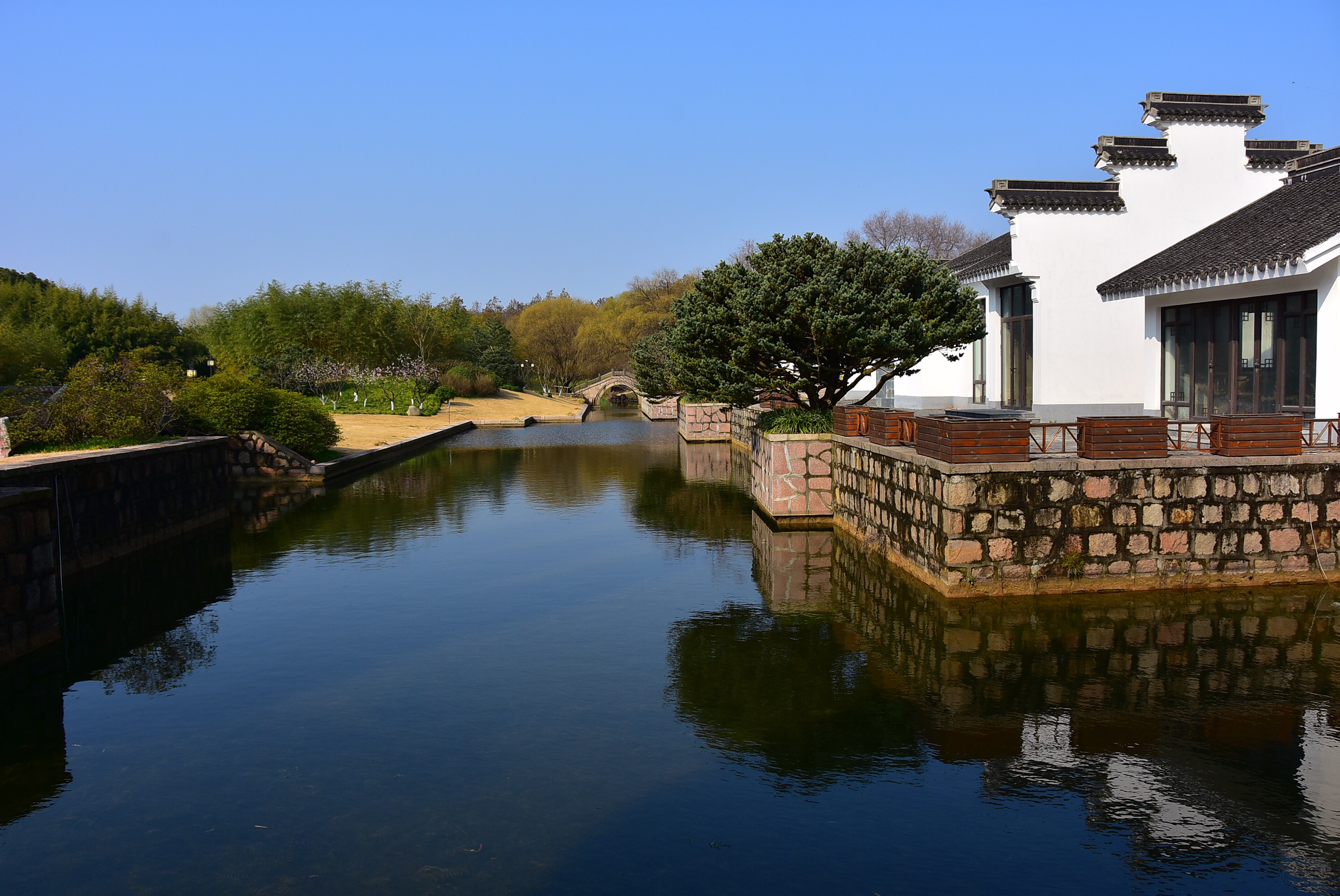 广宁万竹园风景图片