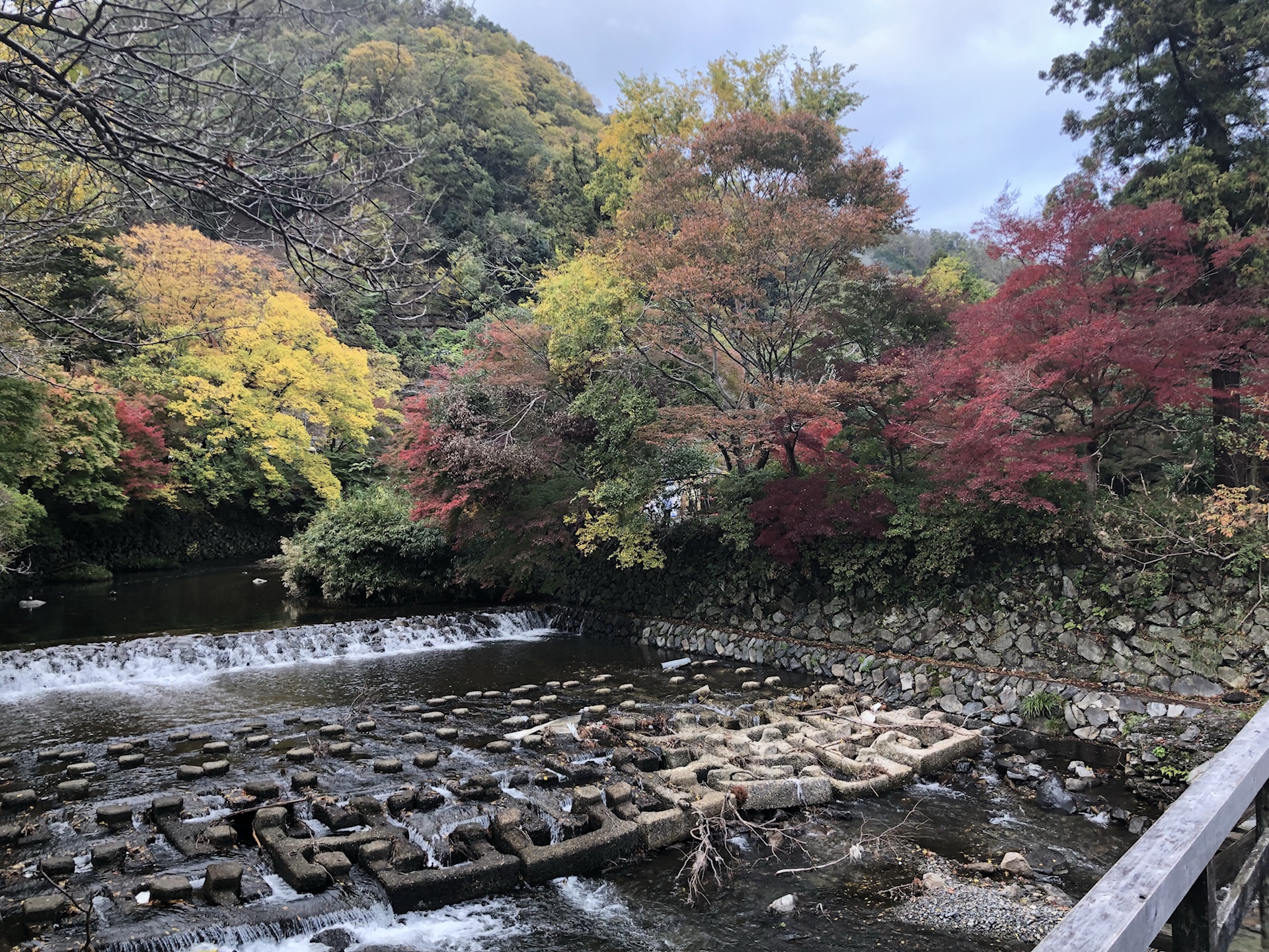 京都自助遊攻略