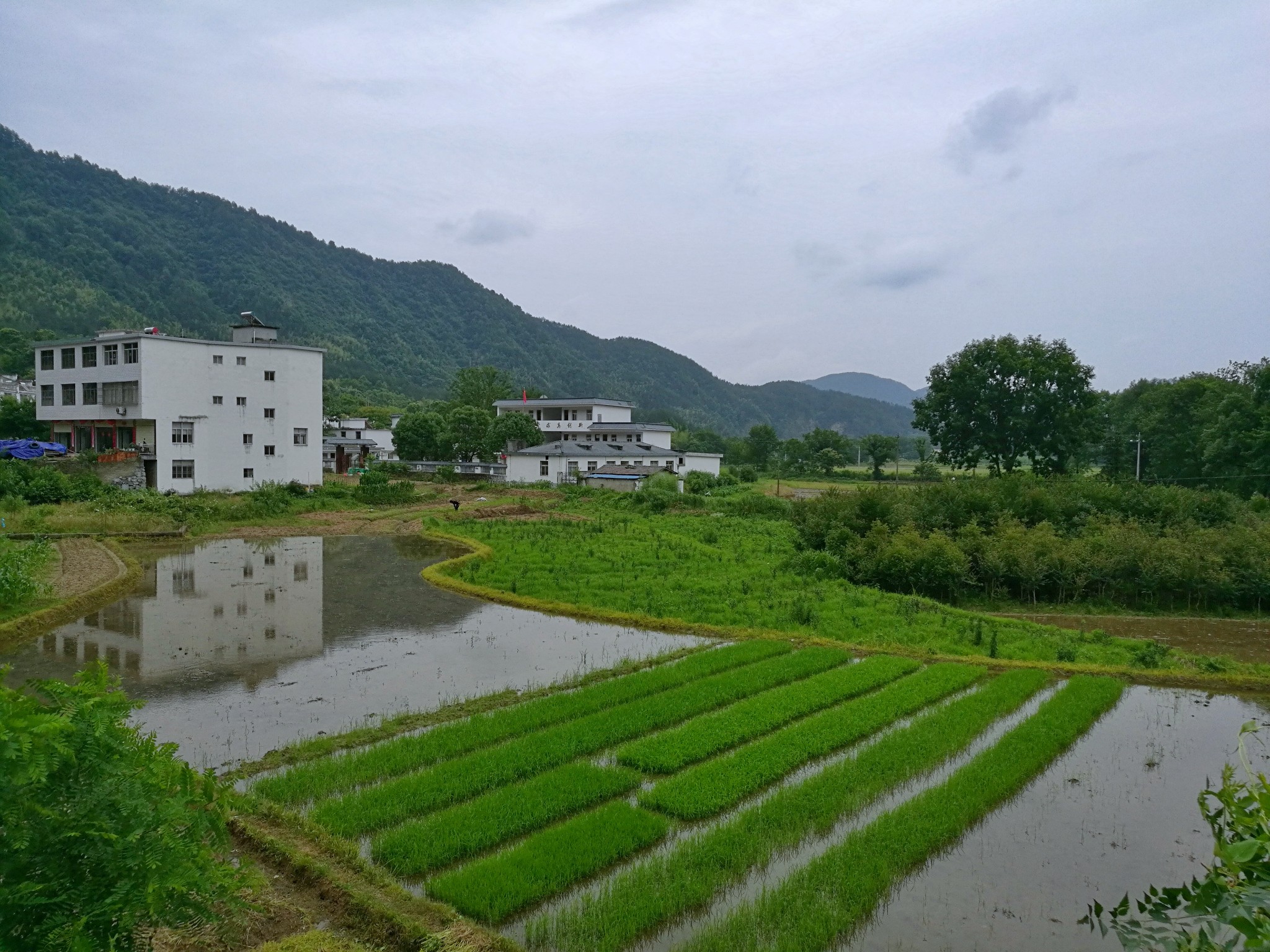 川藏南線自助遊攻略