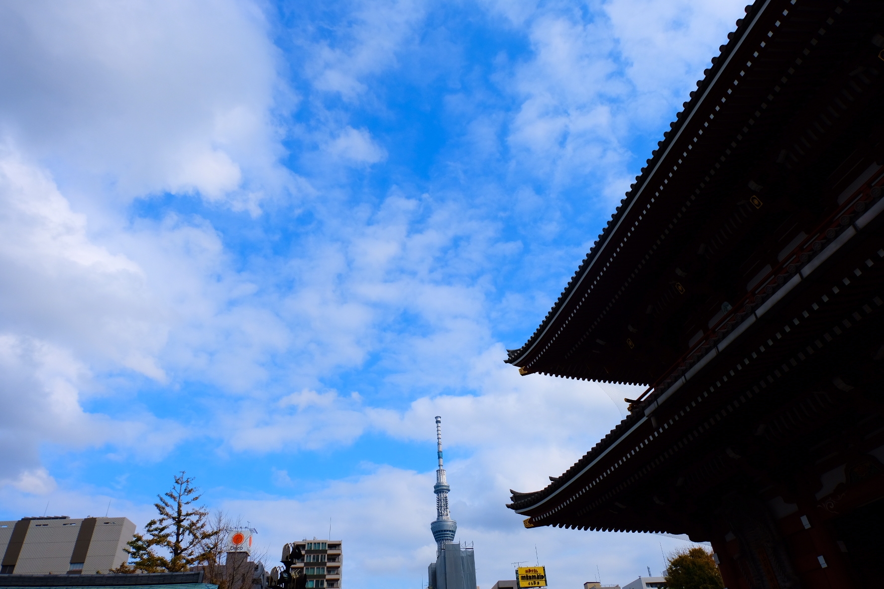 東京自助遊攻略