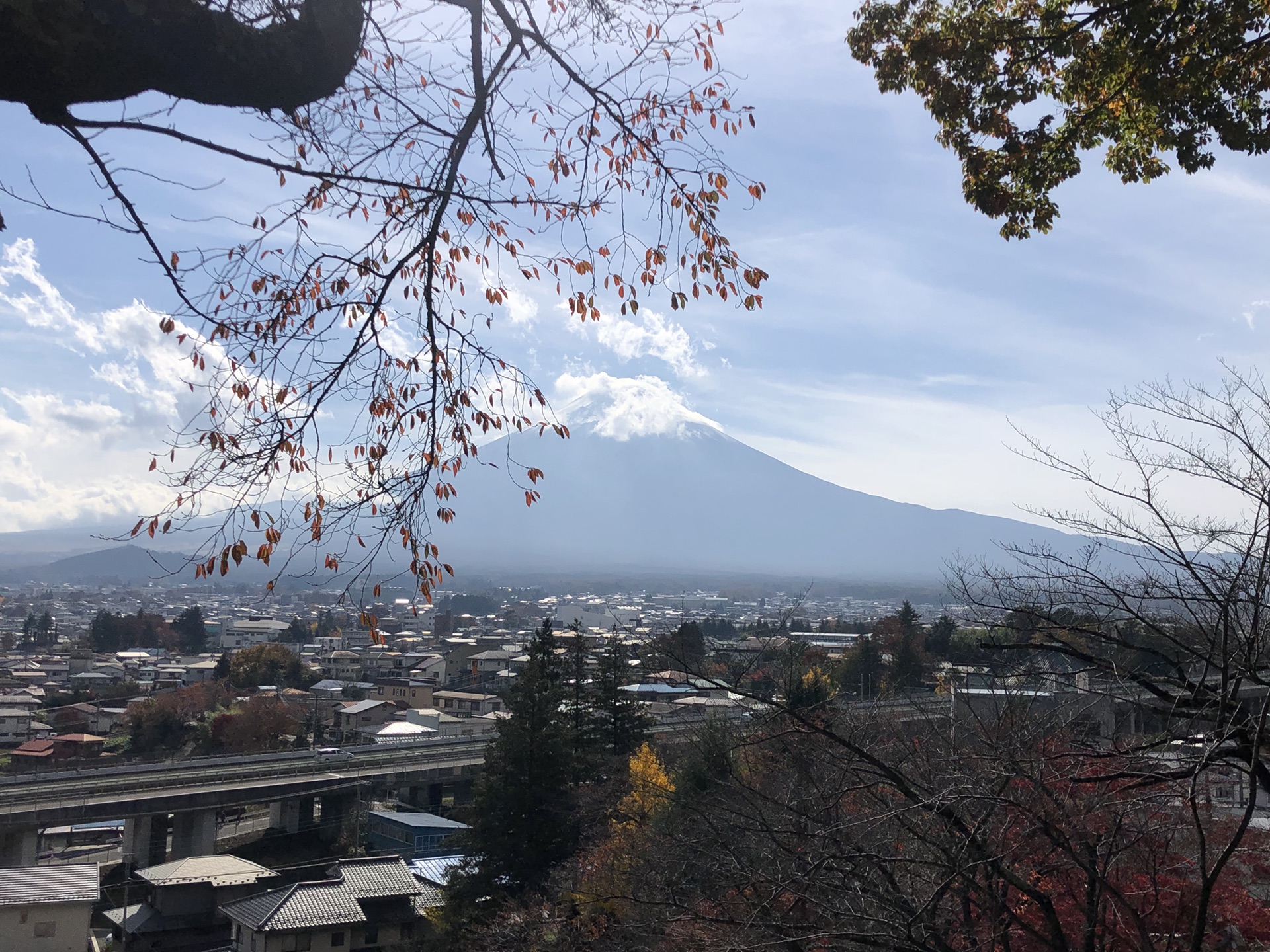 東京自助遊攻略