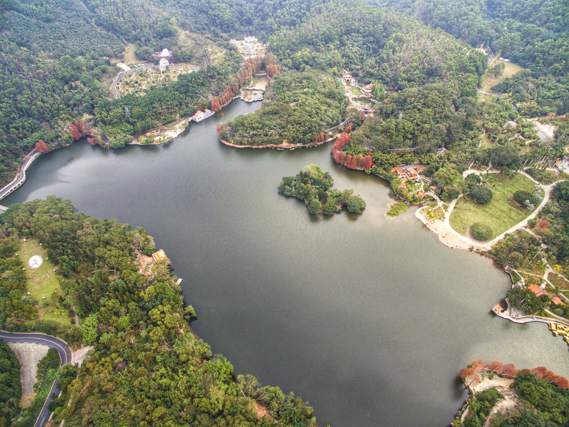 深圳仙湖植物園文青必到的城中綠洲