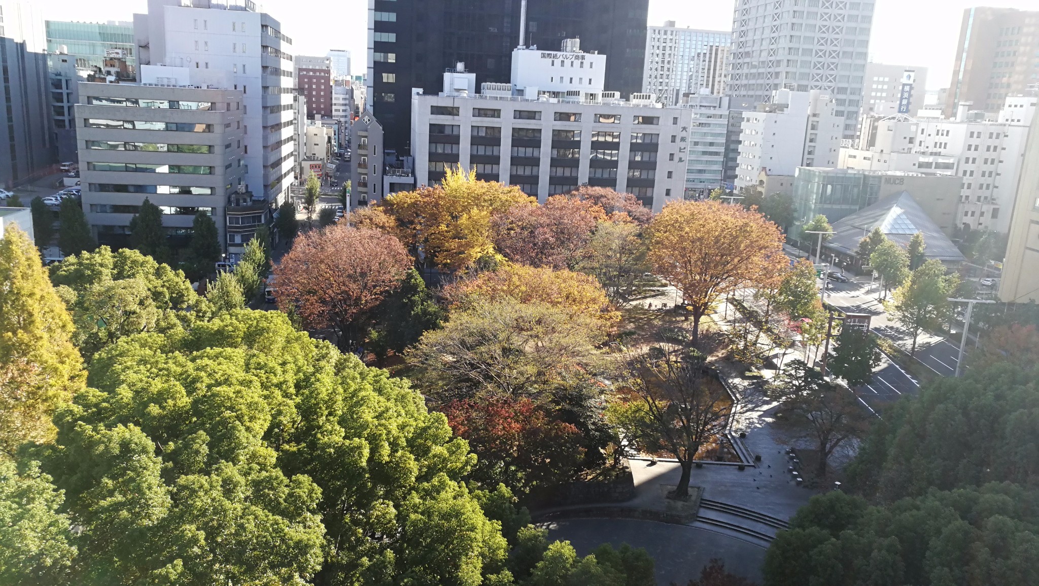 名古屋自助遊攻略