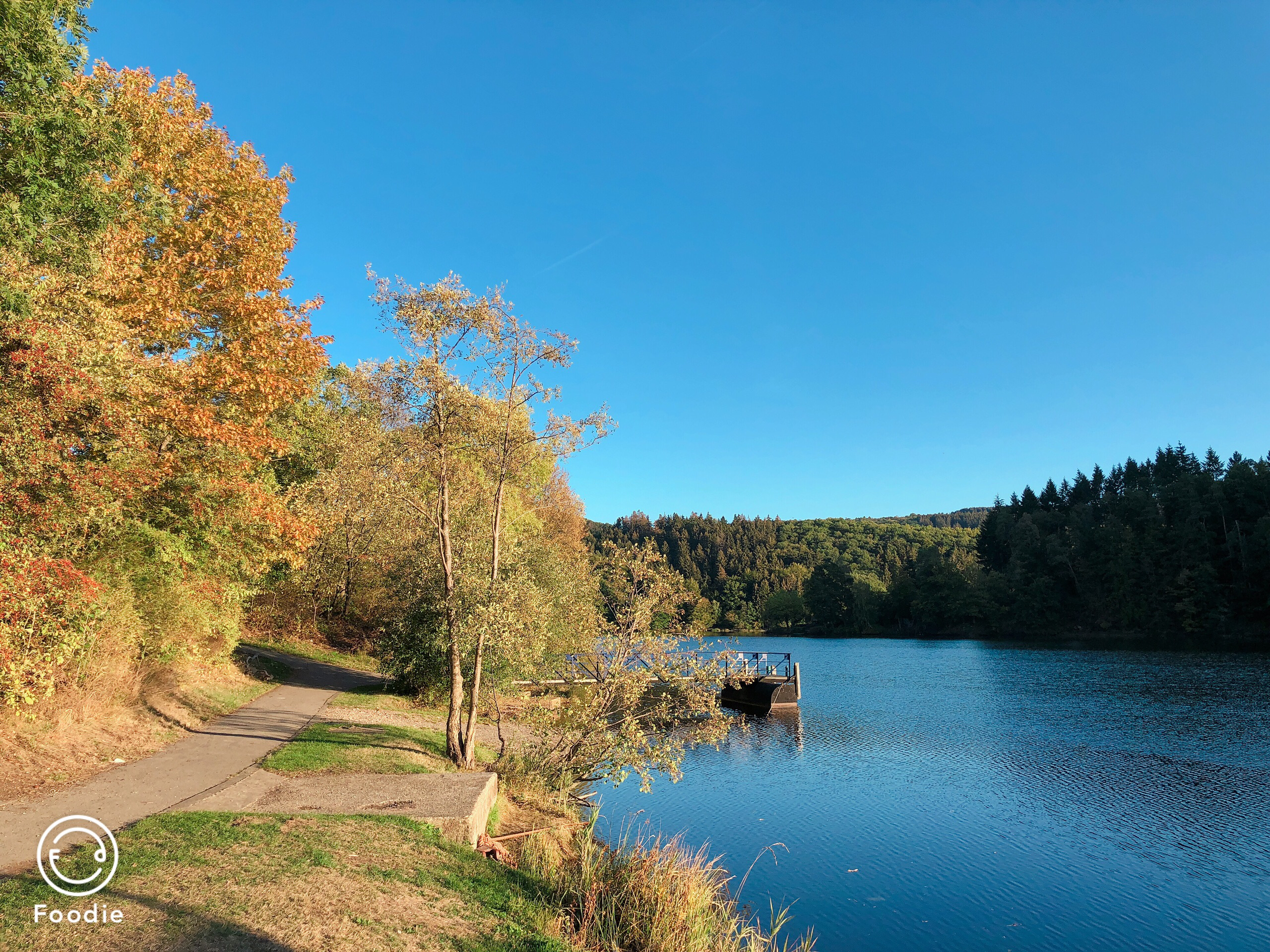 49 2444 95100 景点位置 vogelsang,gemund, north rhine-westphalia