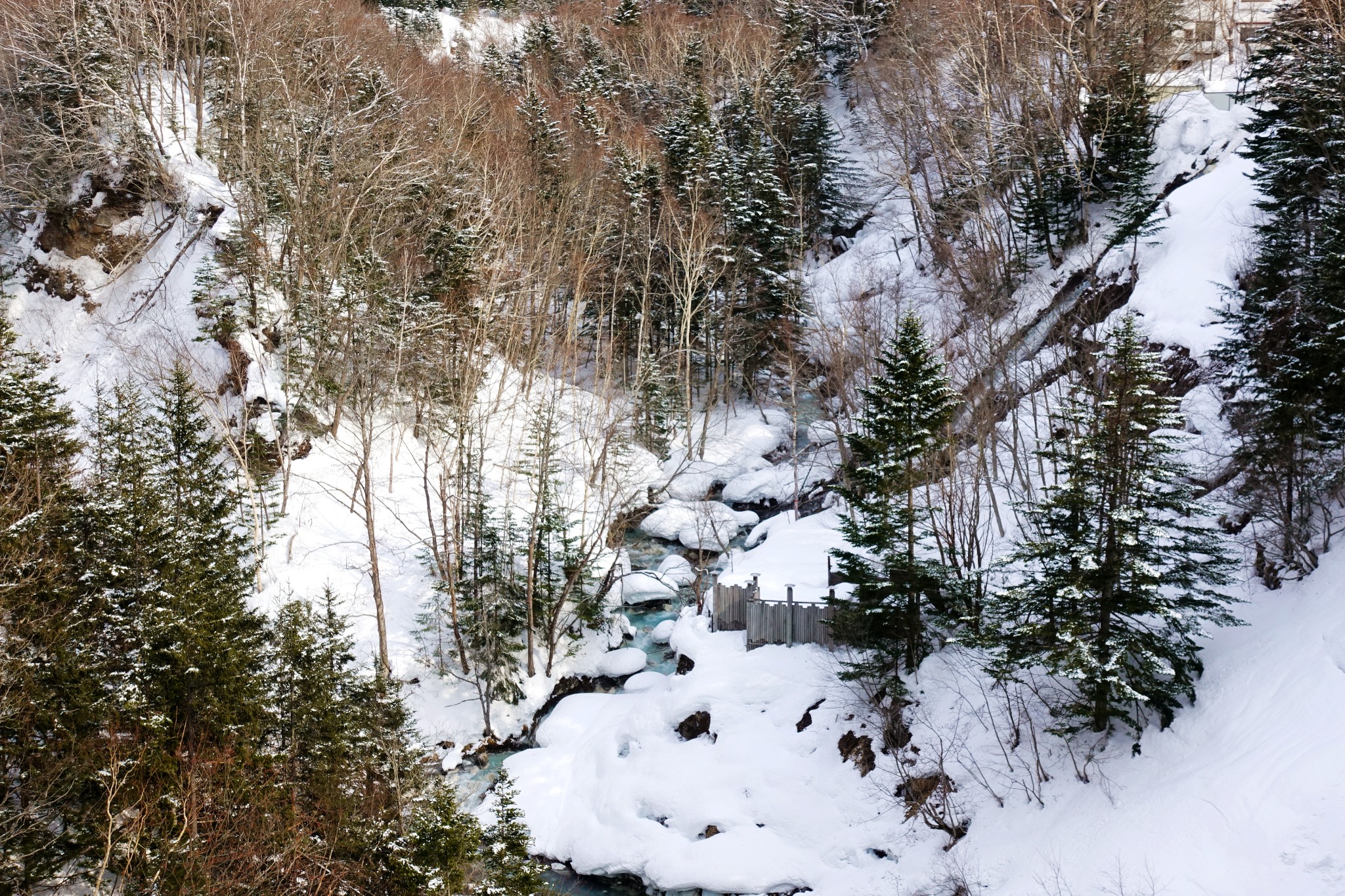 北海道自助遊攻略