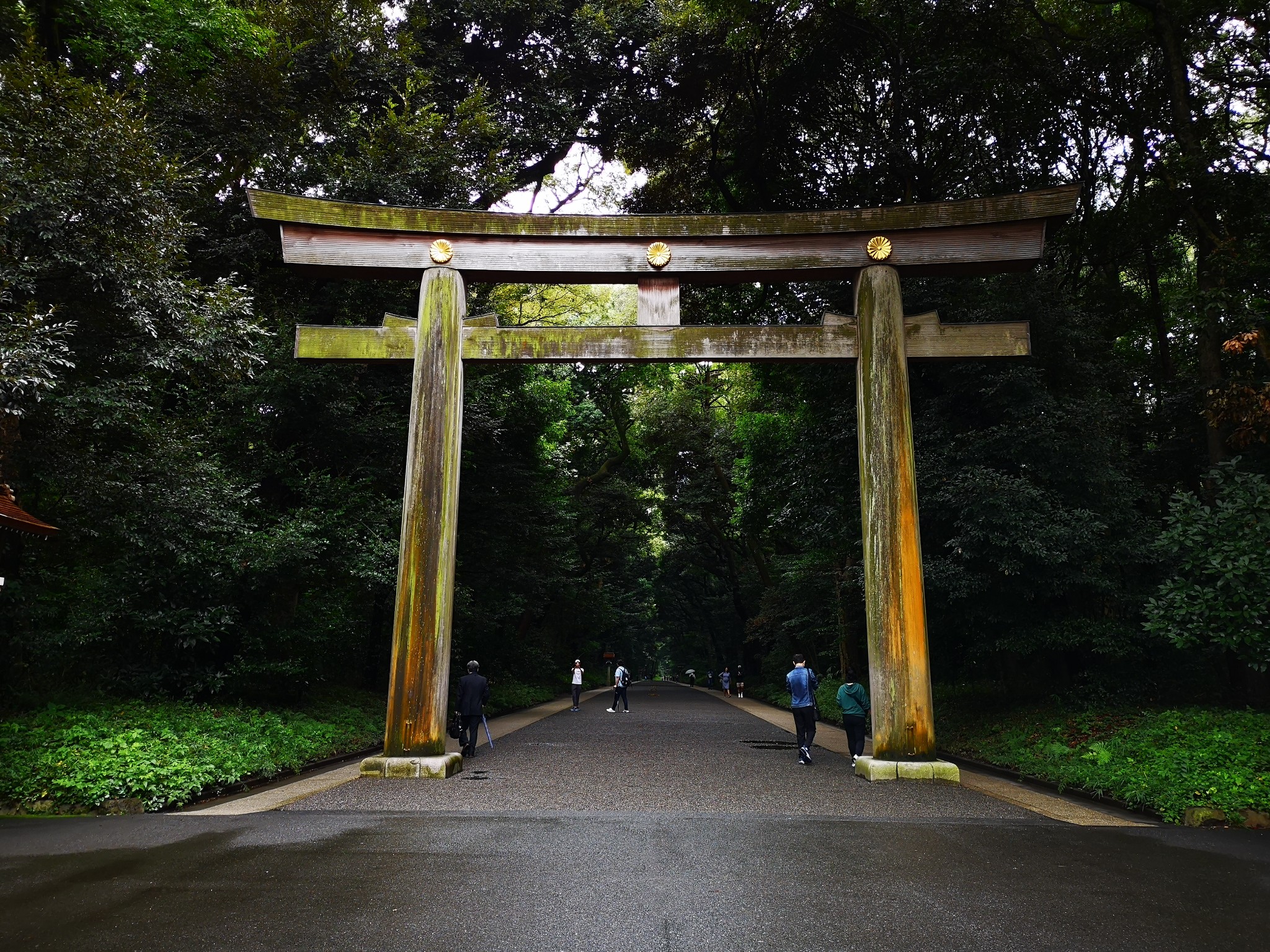 日本自助遊攻略