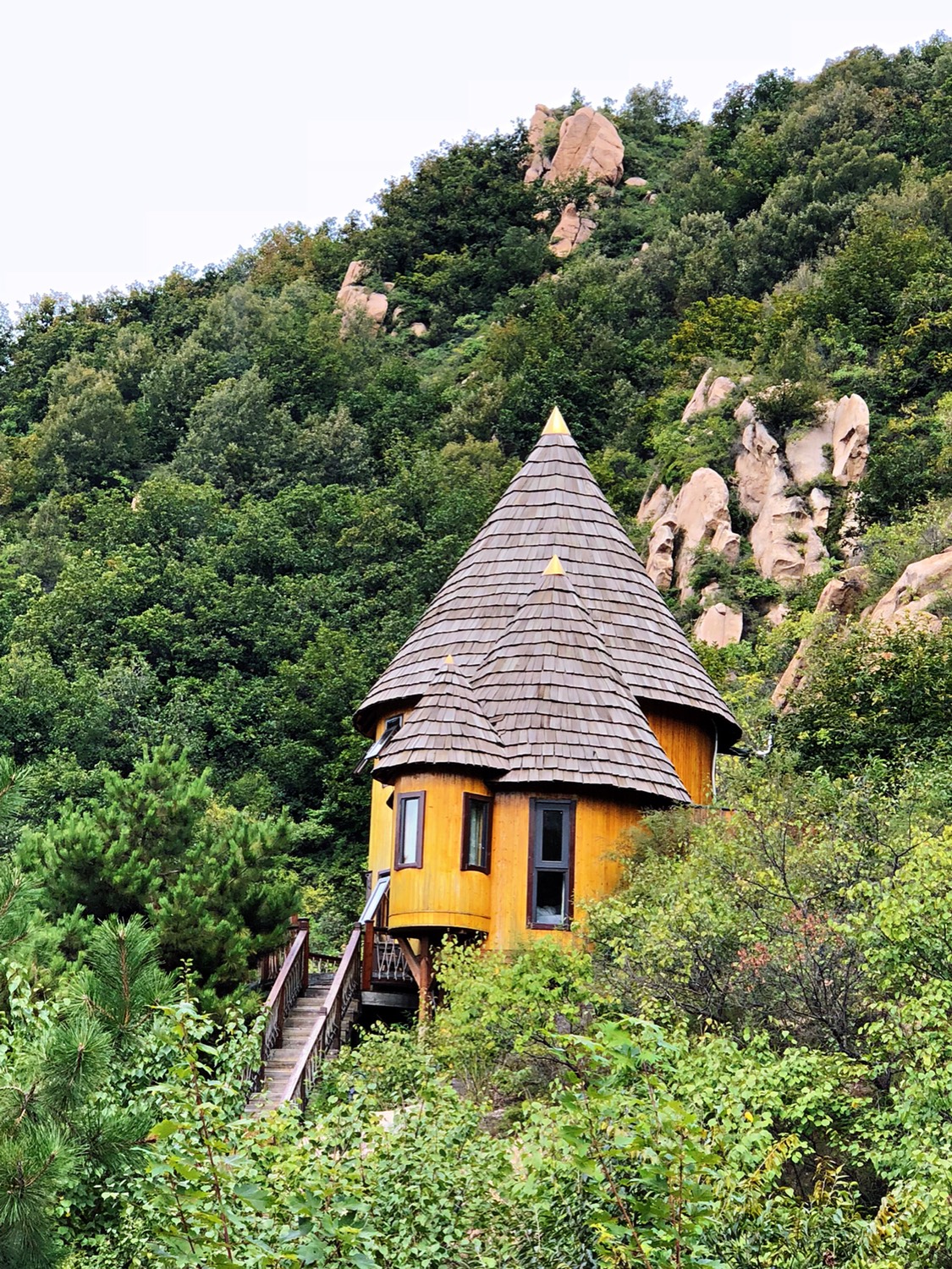                                                                                                    Yunfeng Treehouse      