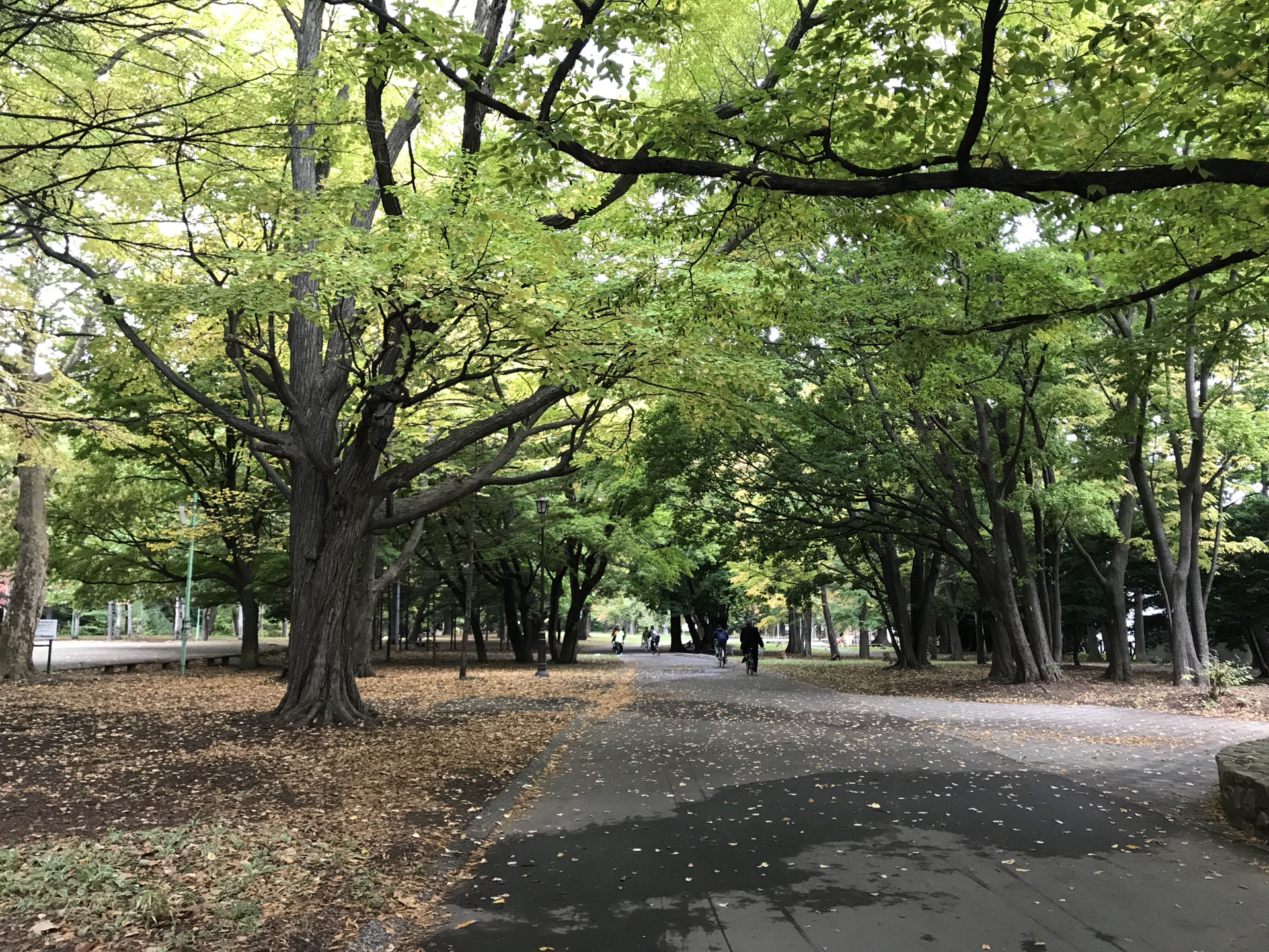 北海道自助遊攻略