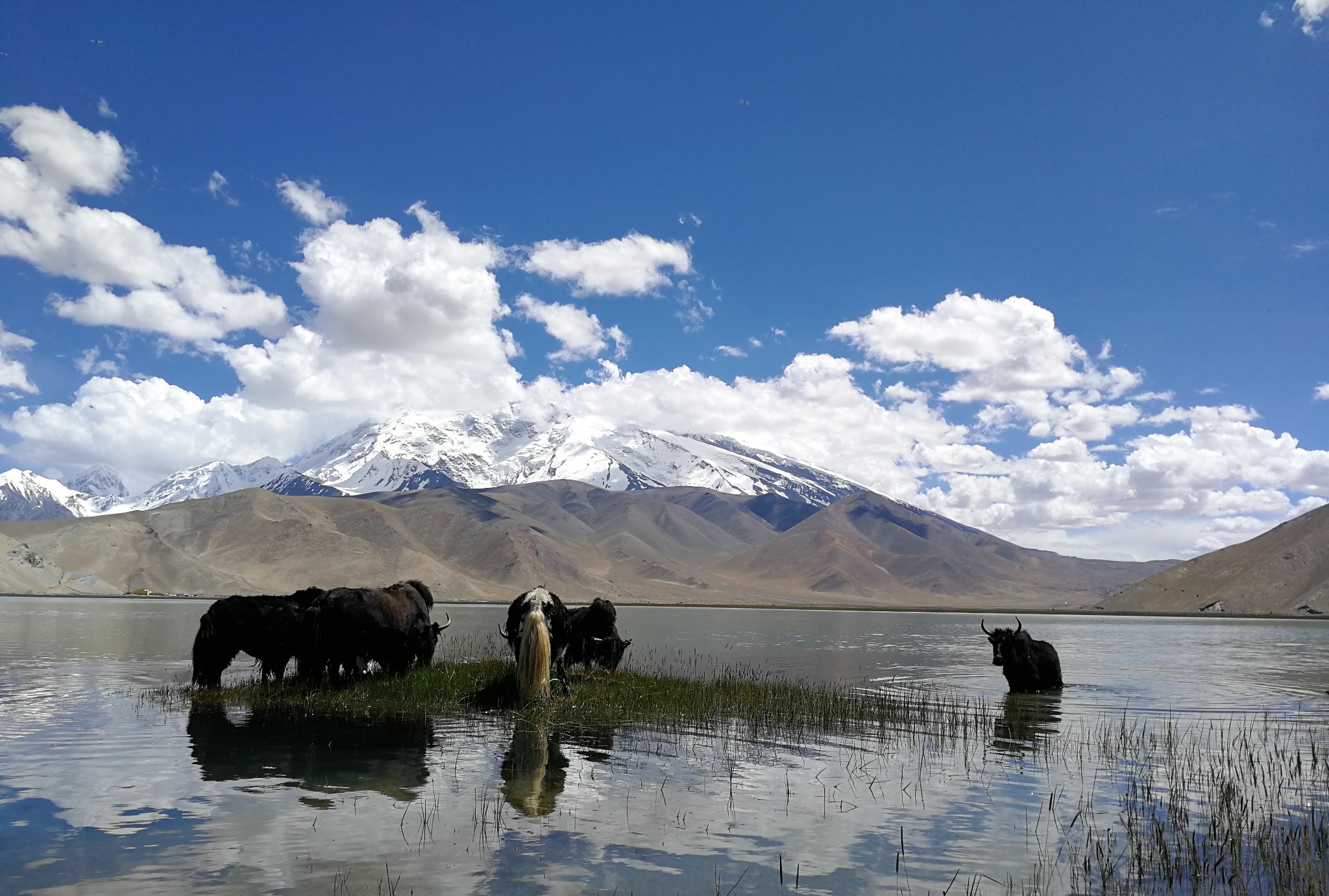 26      北疆是看自然风光,南疆是体验风土人情,喀什是新疆人文的代表