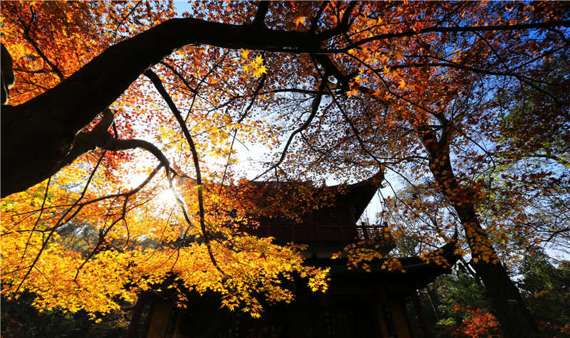 南京棲霞山風景名勝區門票(快速入園 不去可退)