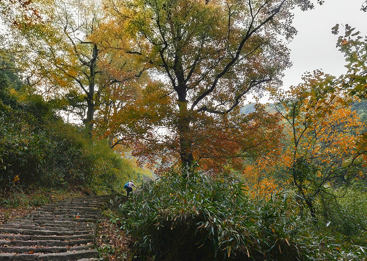 秋季浙江周边一日游推荐，带娃打卡网红赏秋地