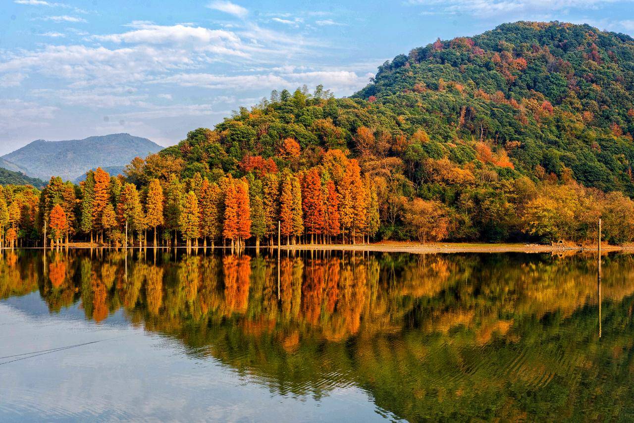 秋季浙江周边一日游推荐，带娃打卡网红赏秋地