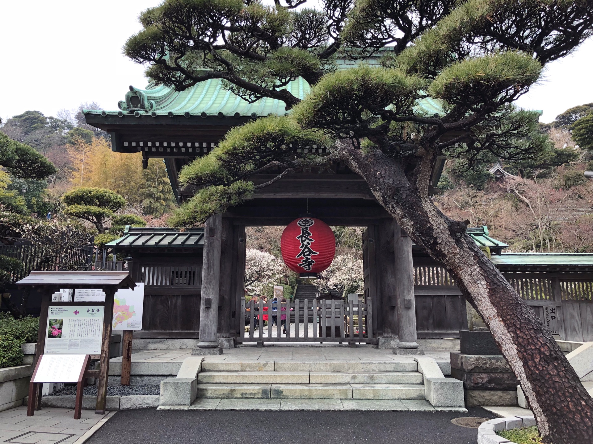 東京自助遊攻略