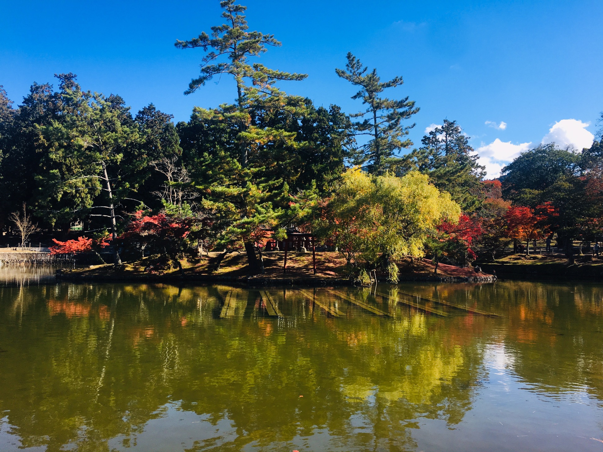 京都自助遊攻略