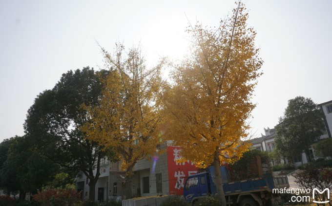 登錄查看大圖