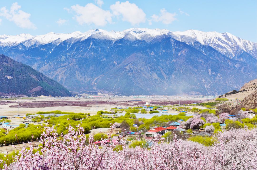 林芝桃花 | 30多處桃花溝,只帶你去3個最美的