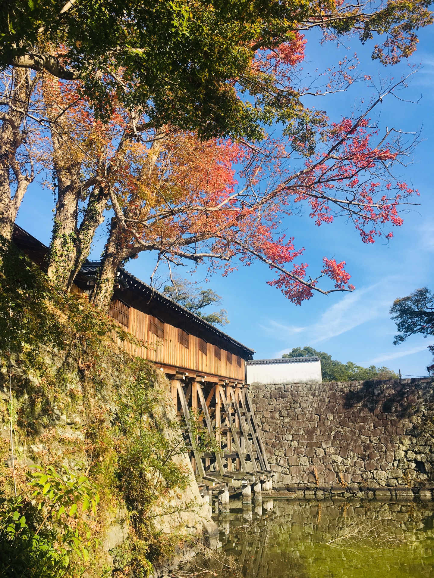 京都自助遊攻略