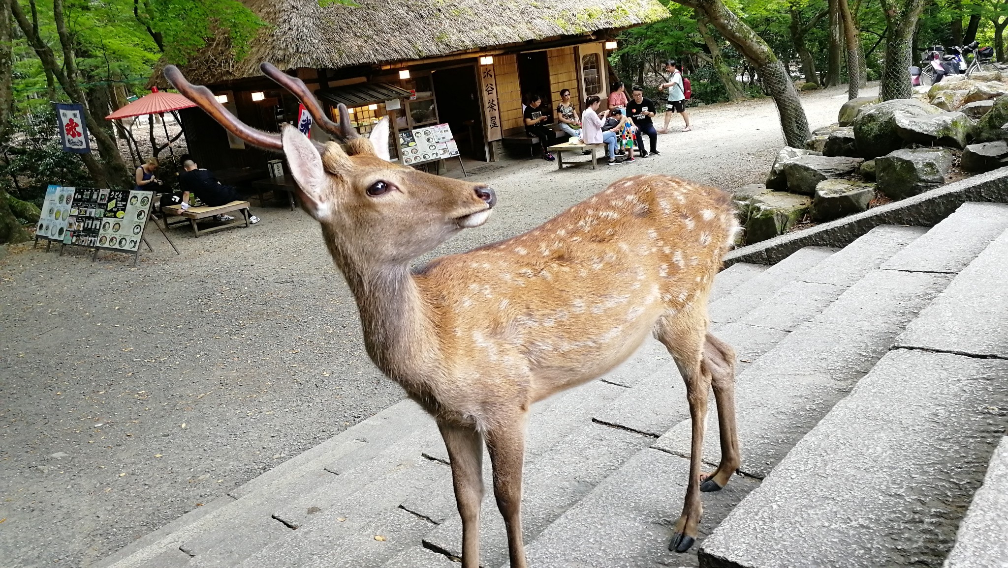 名古屋自助遊攻略