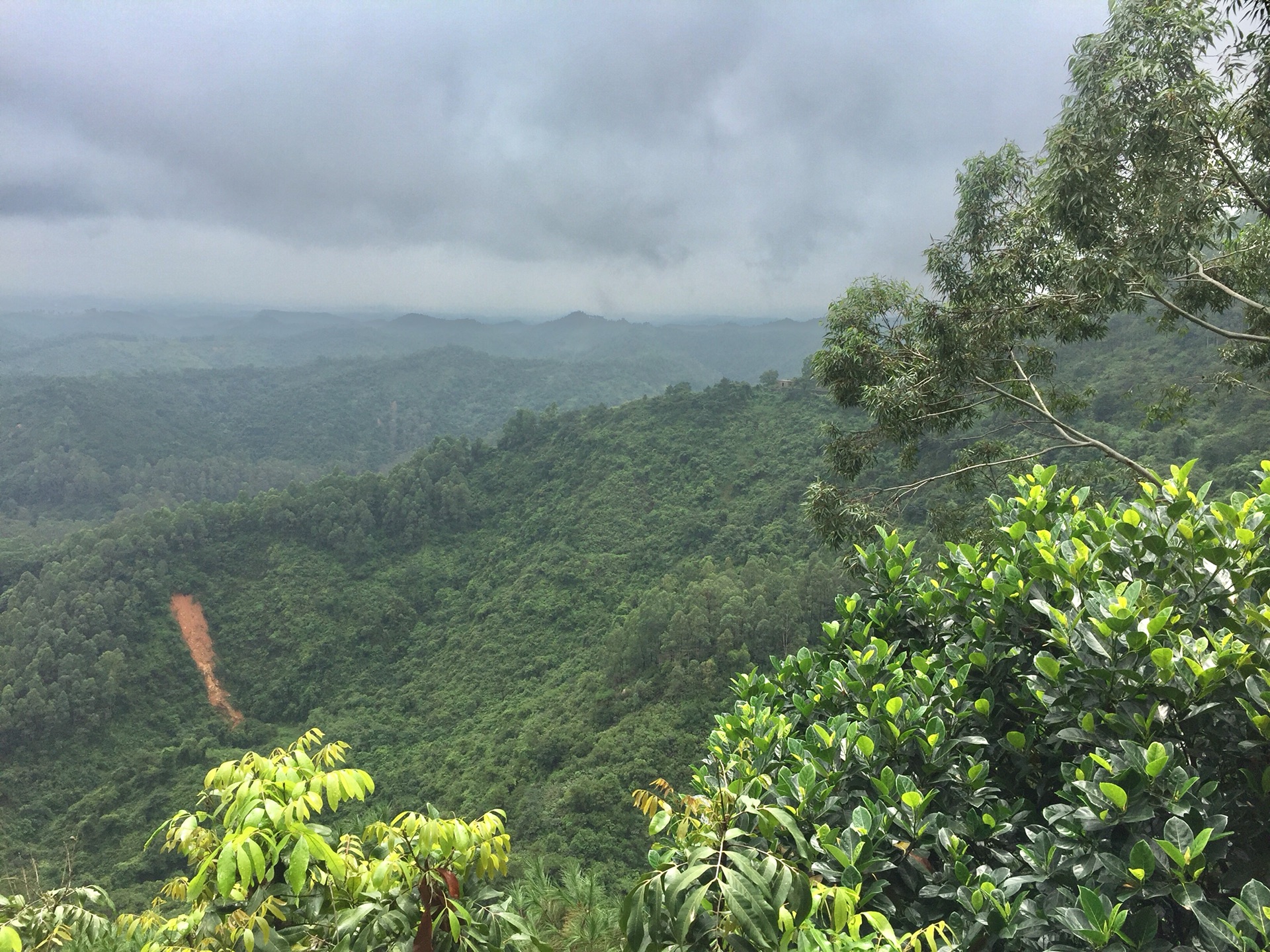 江门茶山风景区图片图片