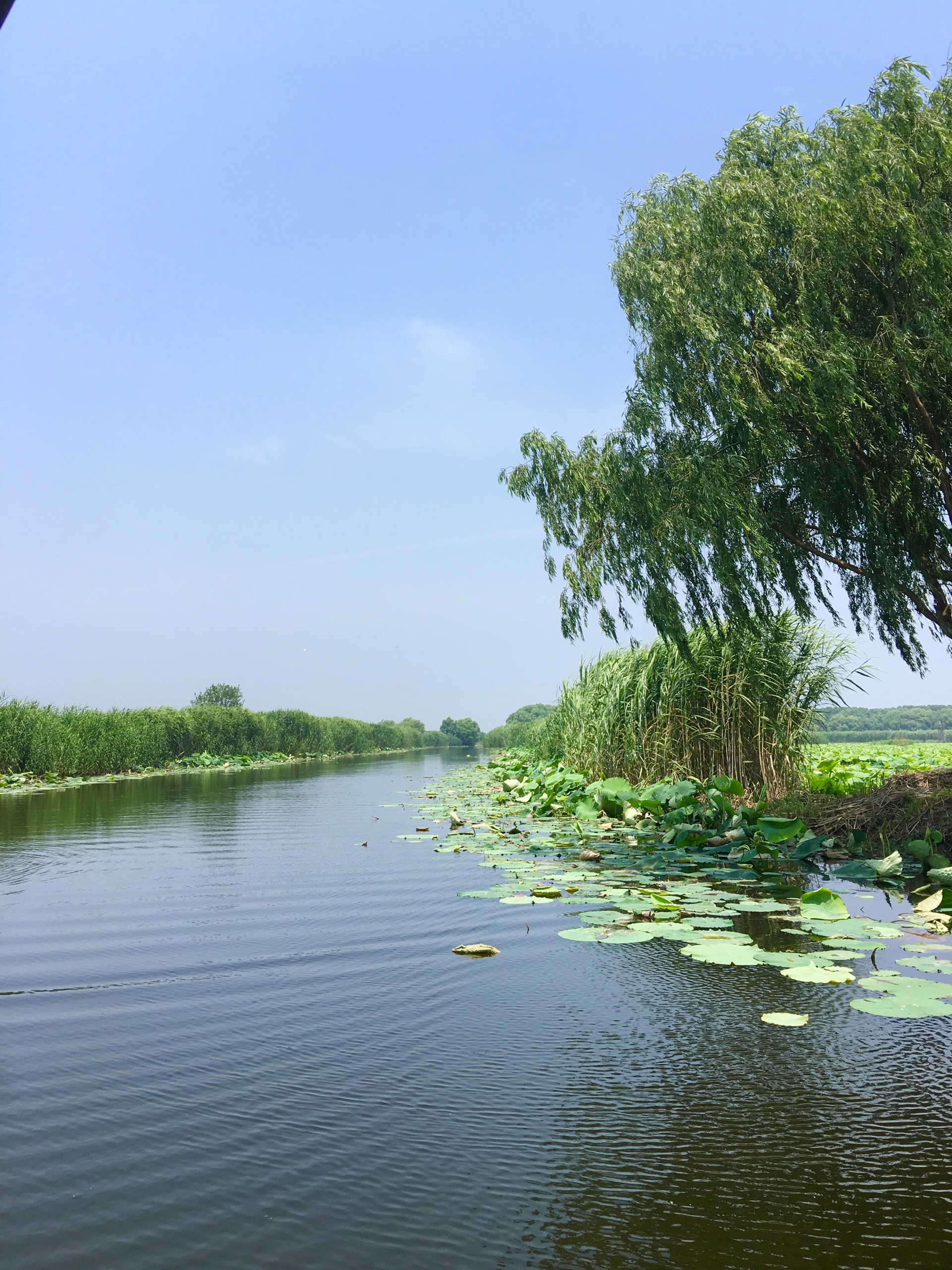 神農架到洪湖旅遊