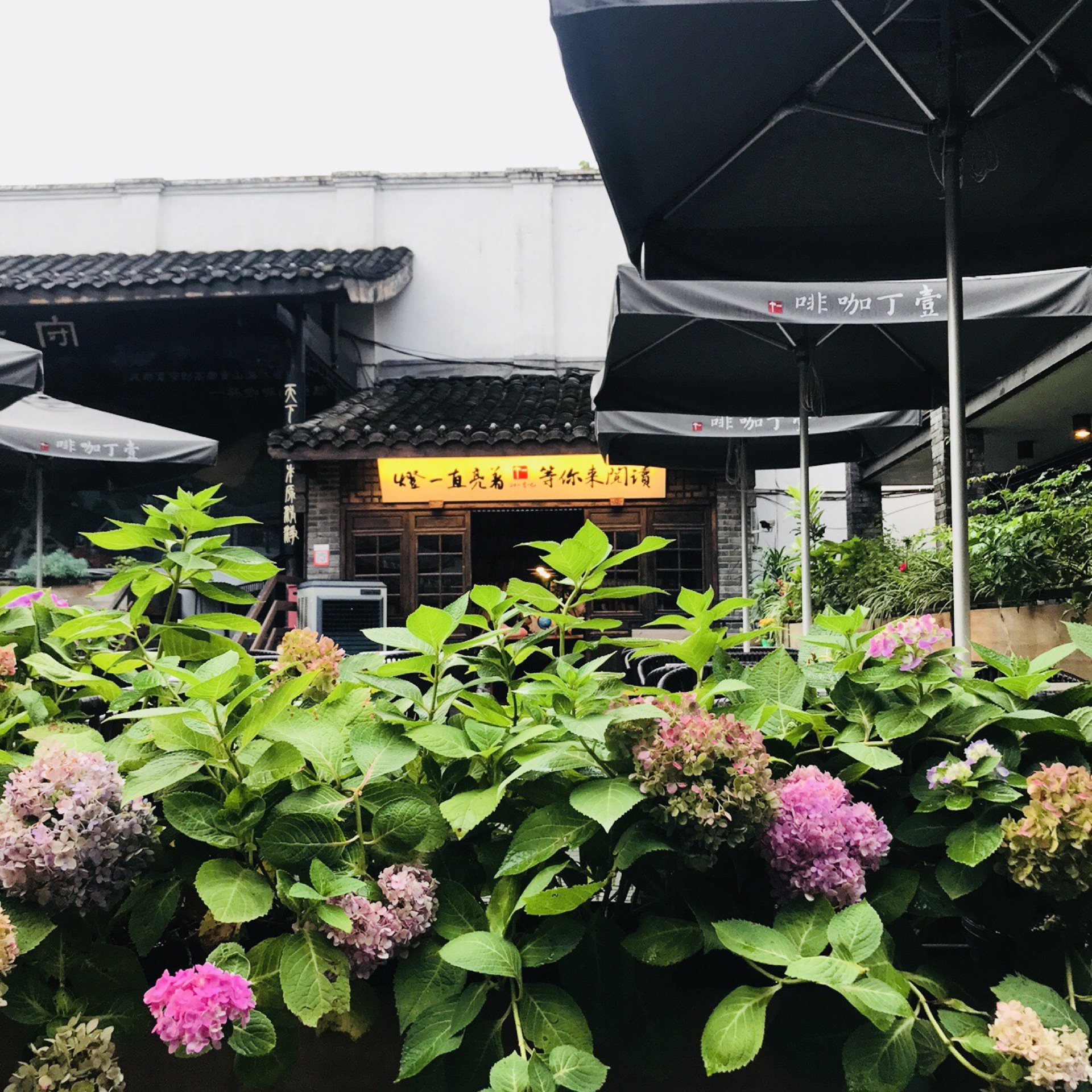 成都cago人均消费多少_成都地铁