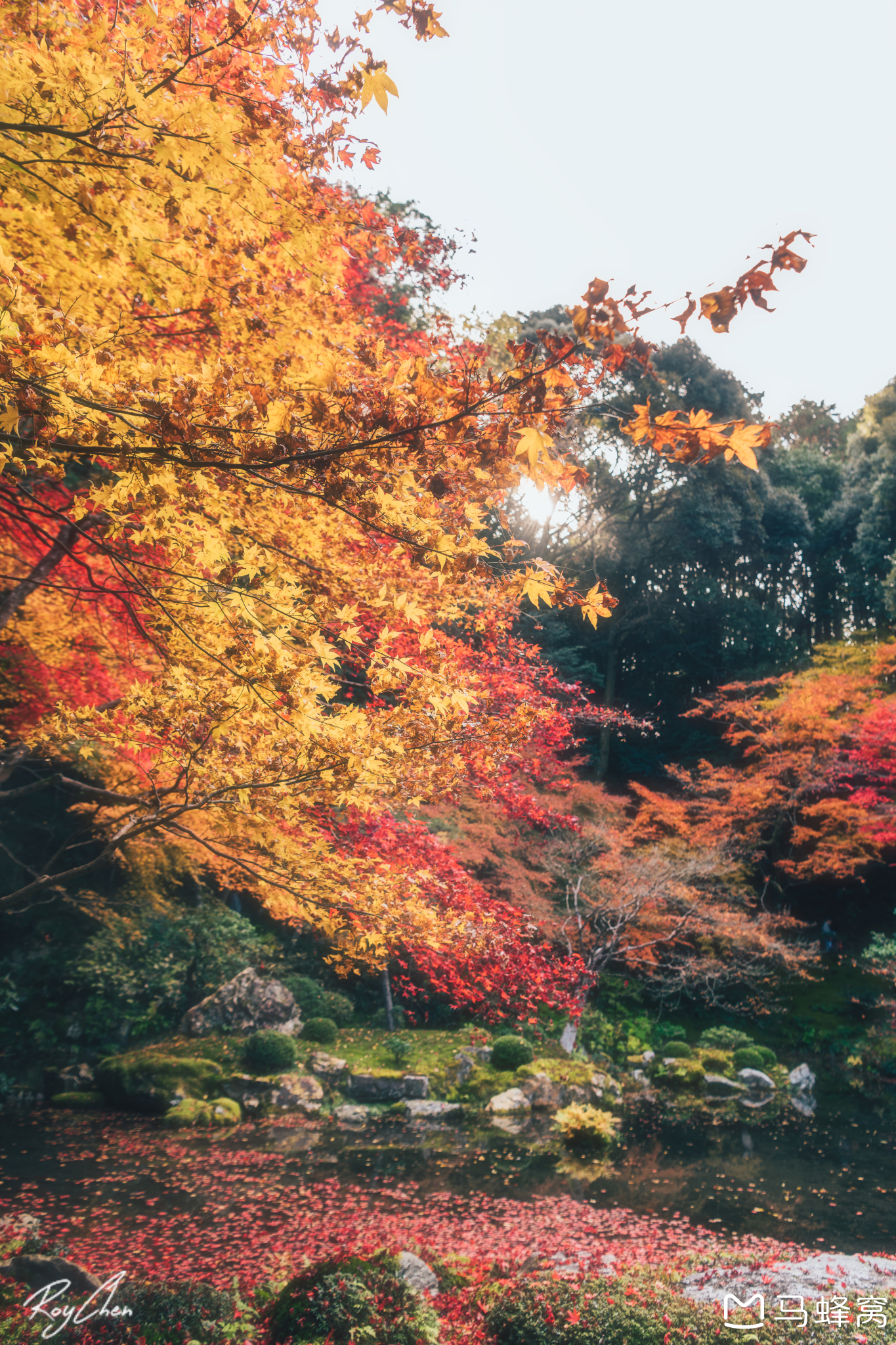 京都自助遊攻略