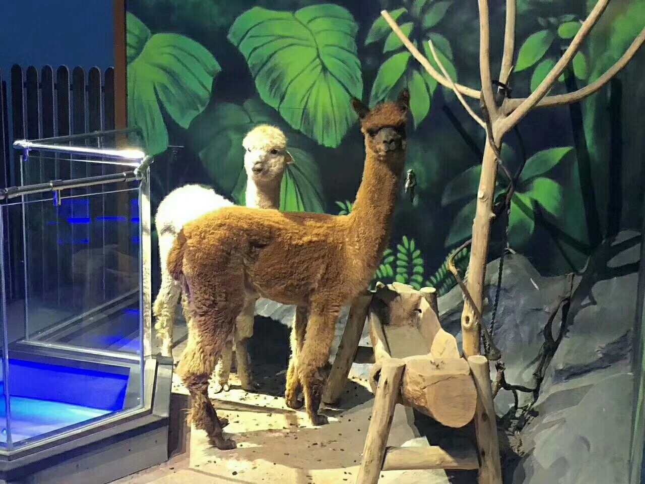 【活动票出售中】沈阳大悦城未来动物城主题乐园门票 (至少提前半个小