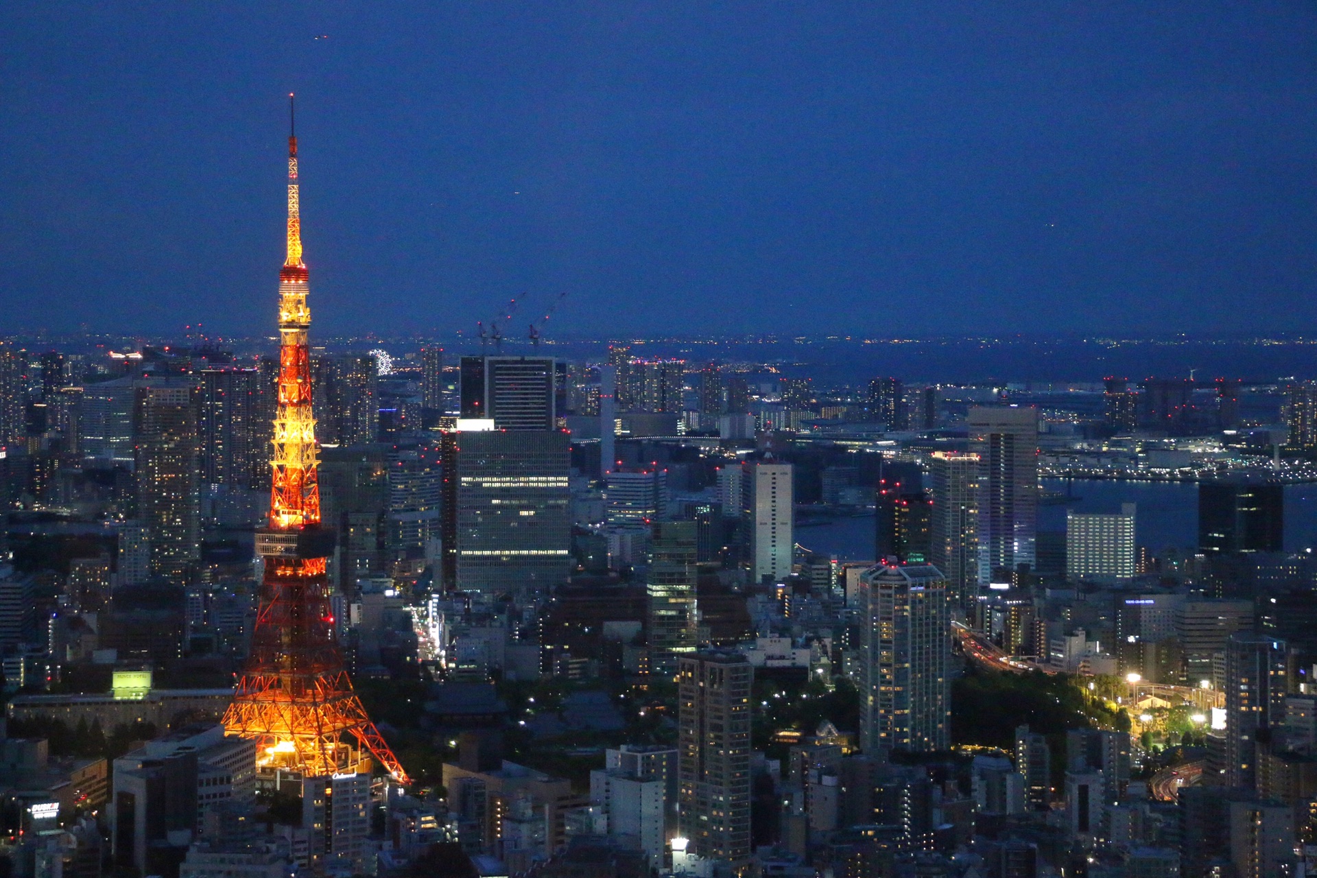 東京自助遊攻略