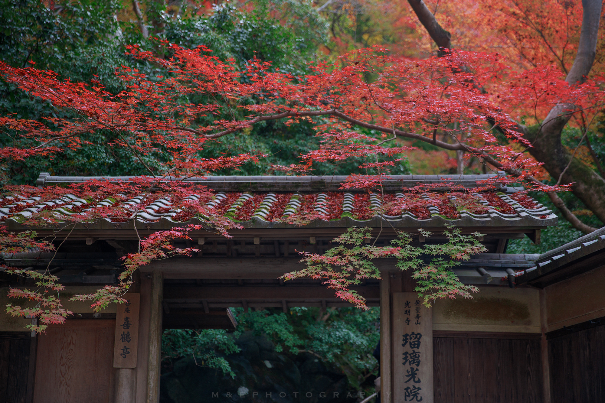 京都自助遊攻略