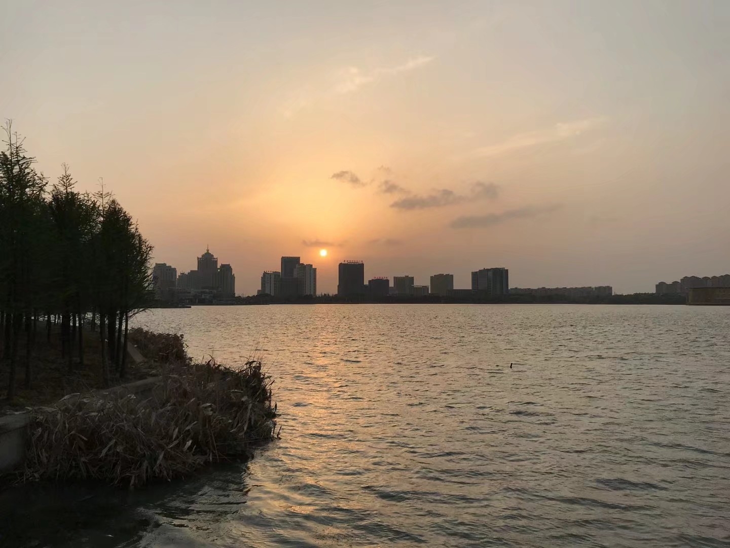 苏州园区青剑湖