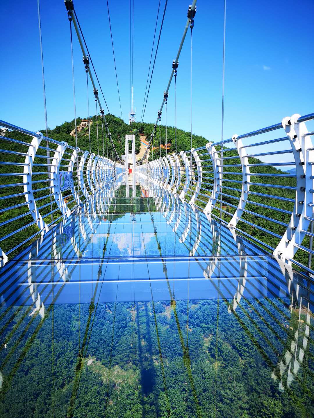 可订今日0684起立即购买成人票5d玻璃吊桥 蝴蝶谷采摘园 网红街区票