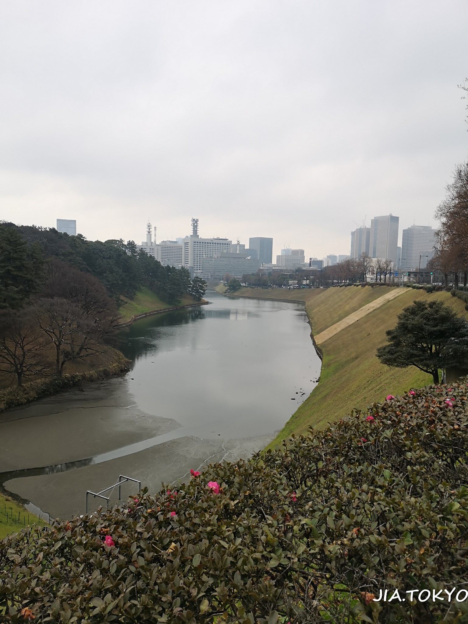 東京自助遊攻略