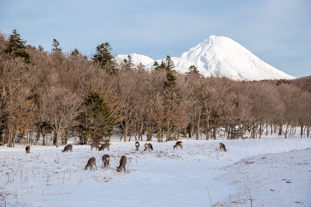 北海道自助遊攻略