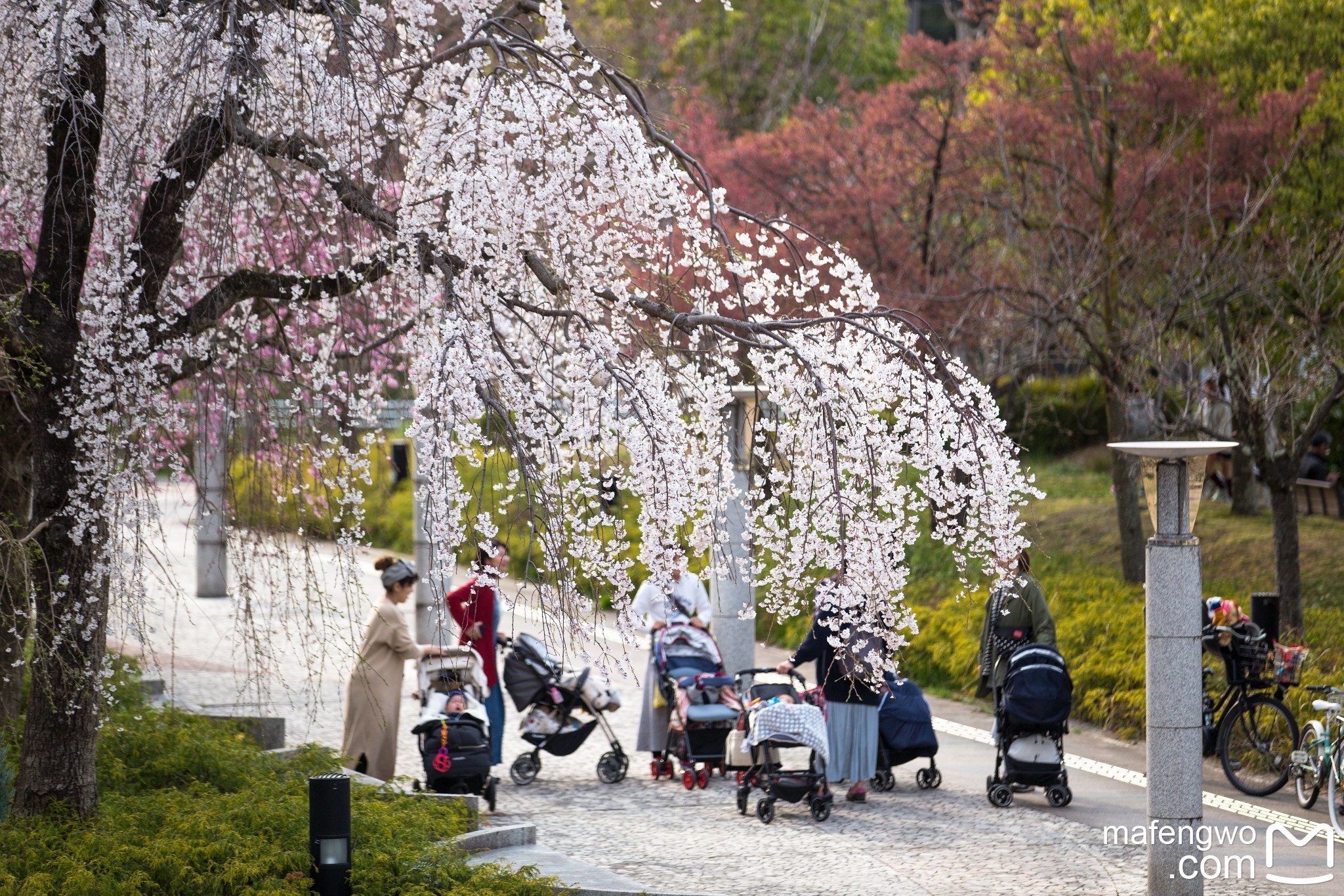 札幌自助遊攻略