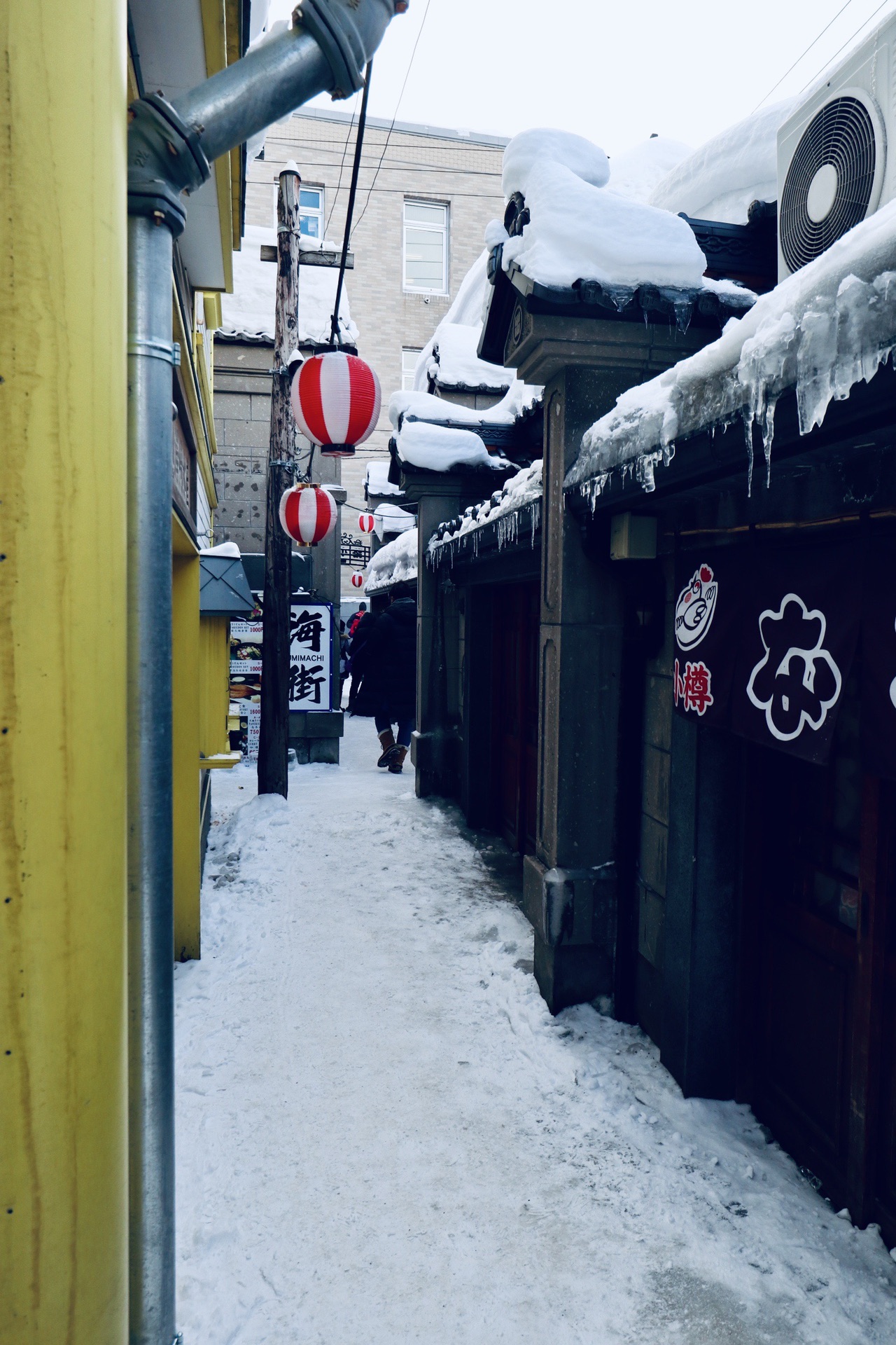 北海道自助遊攻略