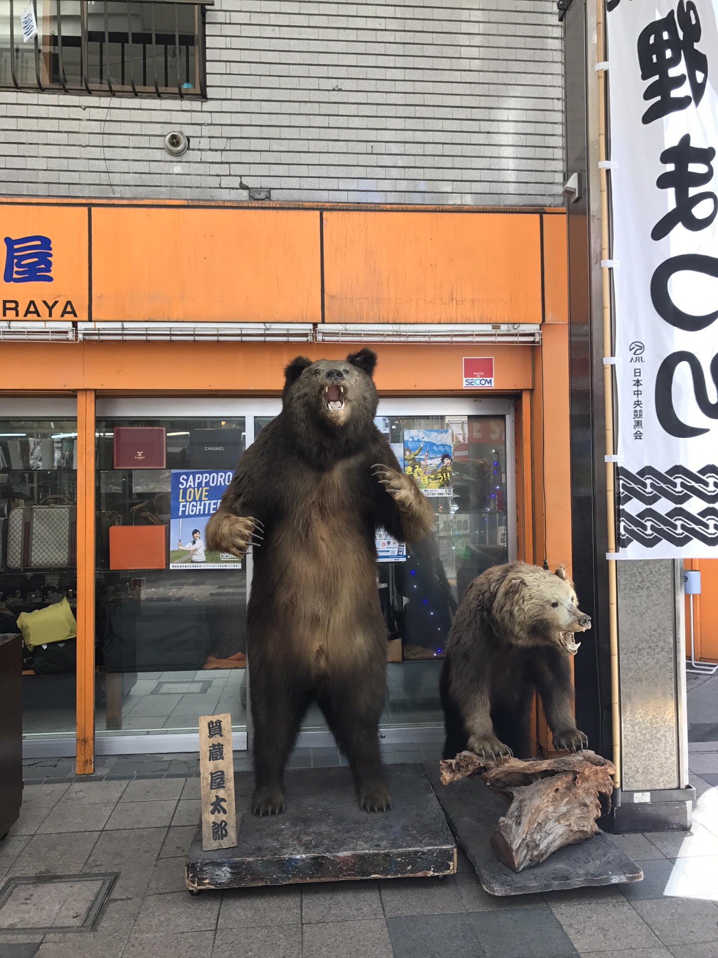 北海道自助遊攻略