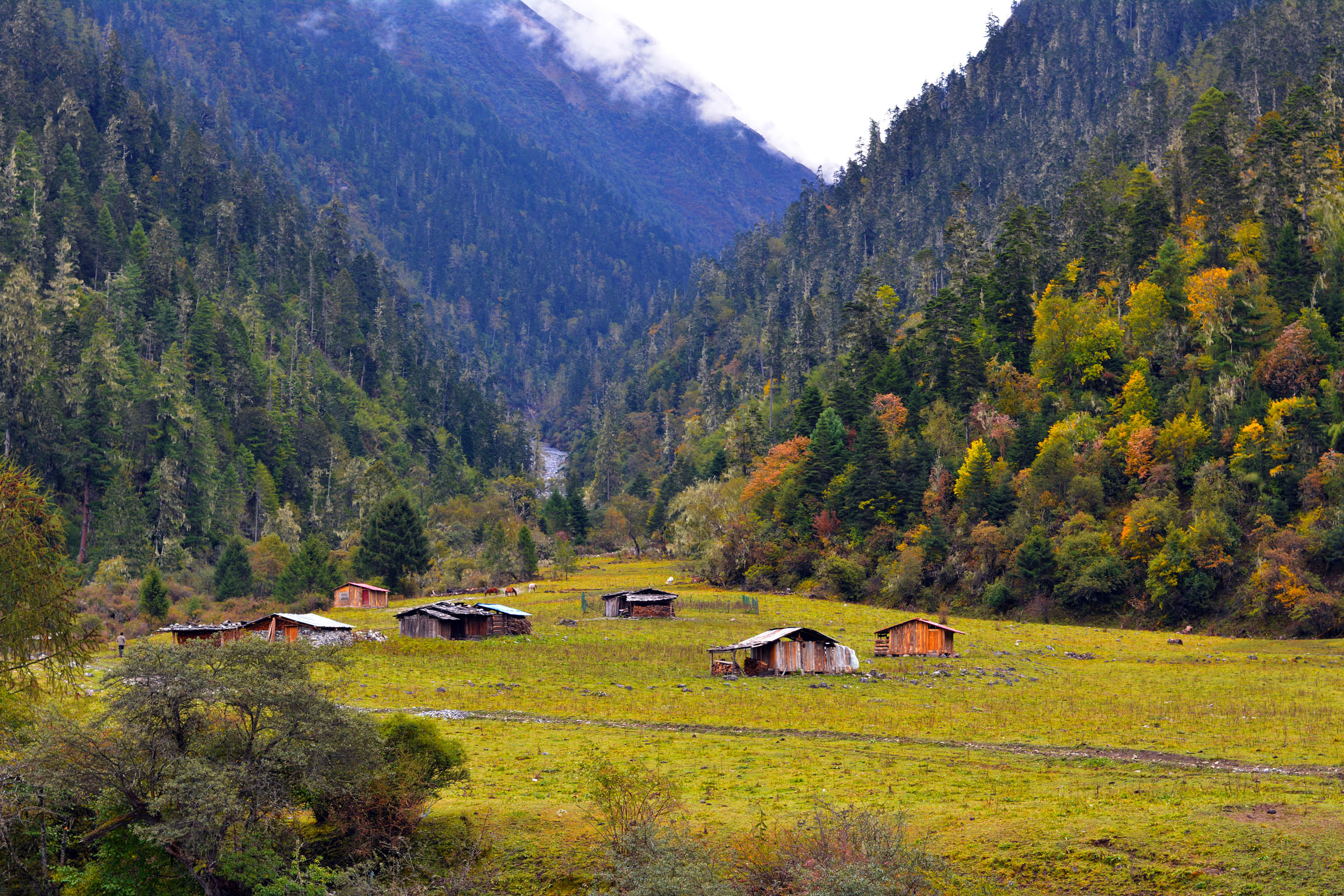 全程0自费长春出发拉萨林芝日喀则羊湖10天深度漫游一