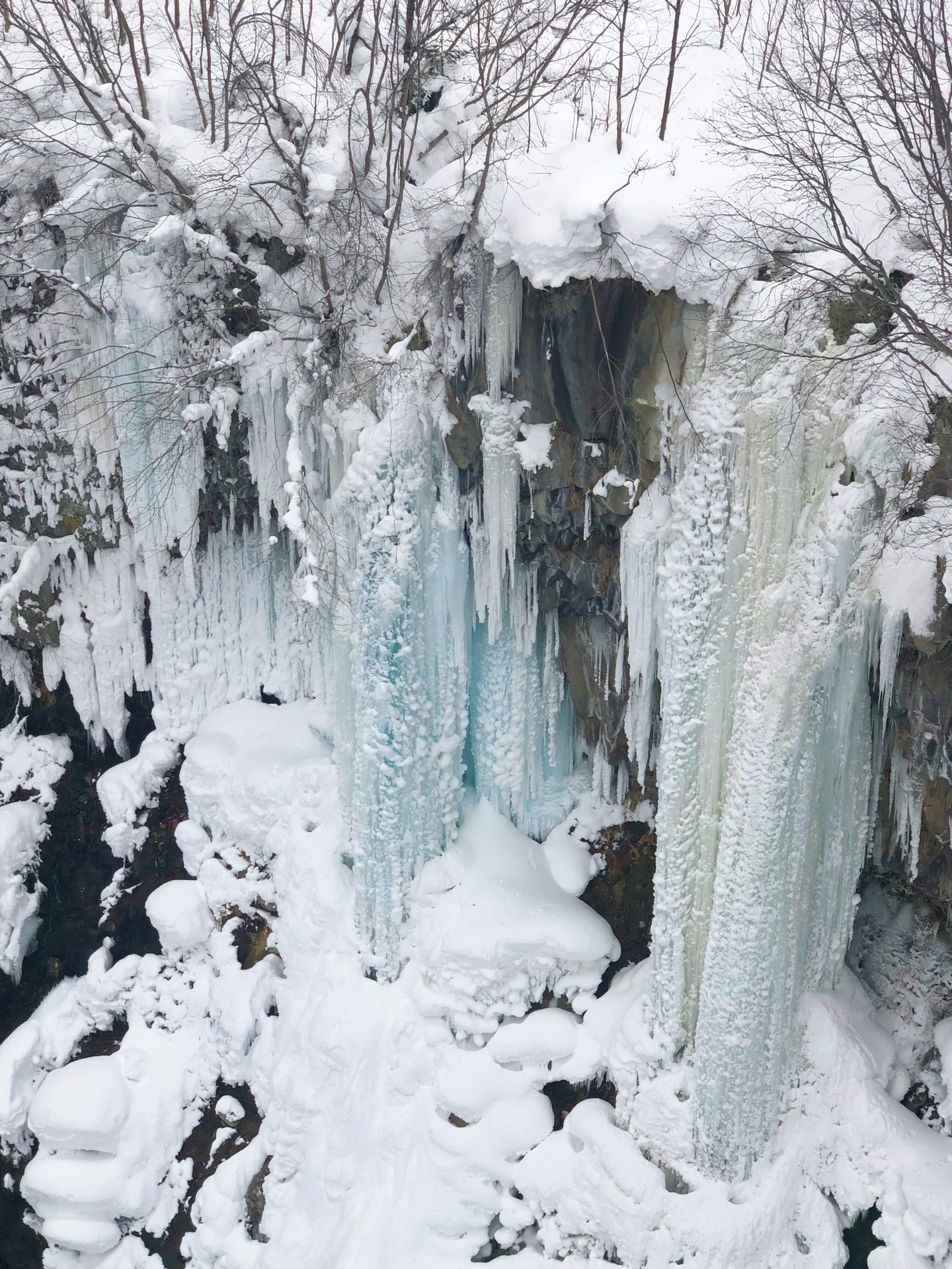 北海道自助遊攻略