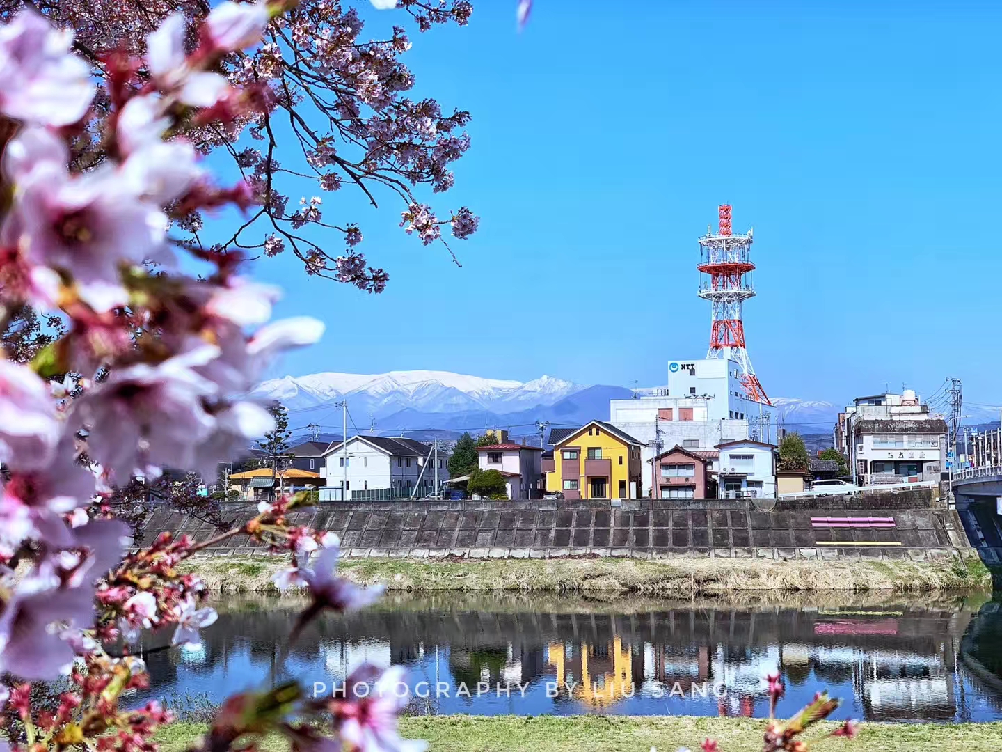利用无人机赏樱记一次在日本宫城县首府仙台赏樱的奇幻之旅