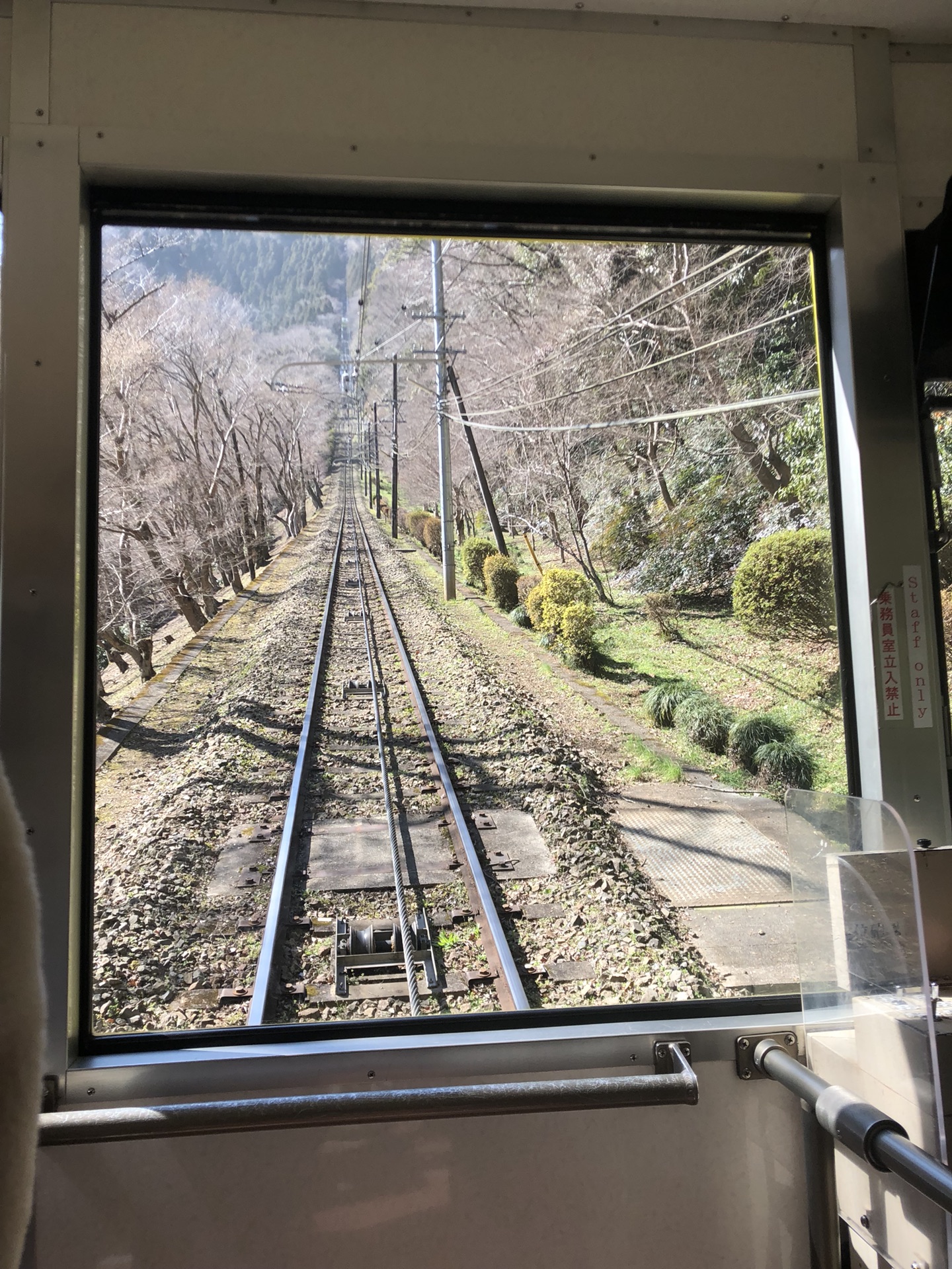 東京自助遊攻略