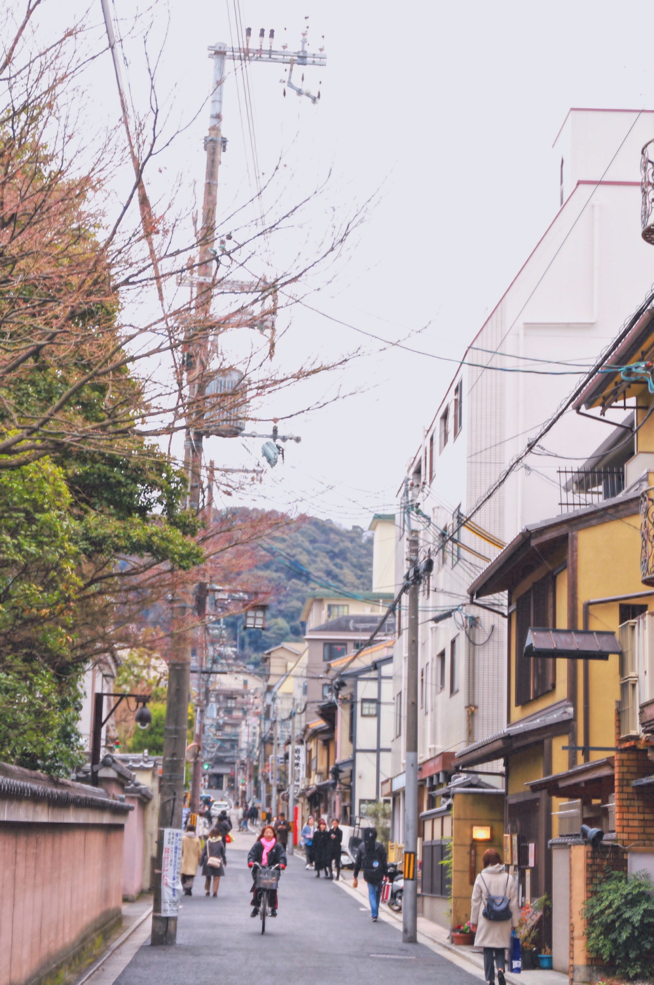 北海道自助遊攻略