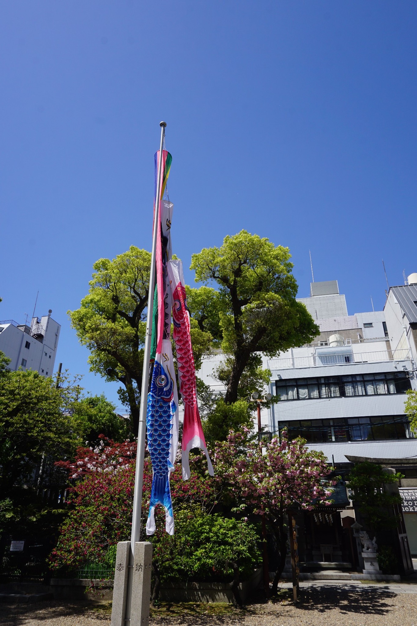 京都自助遊攻略