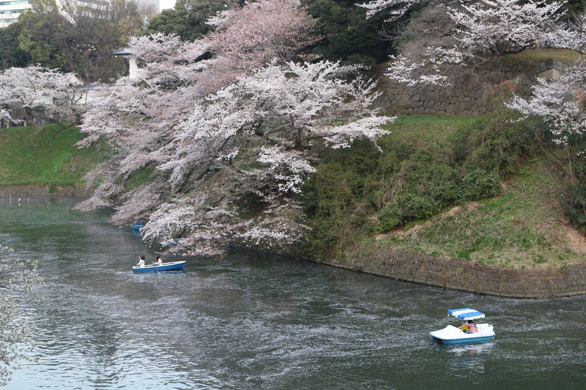 東京自助遊攻略