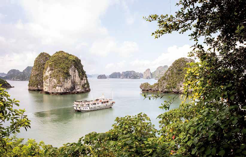              在越南东北部的下龙