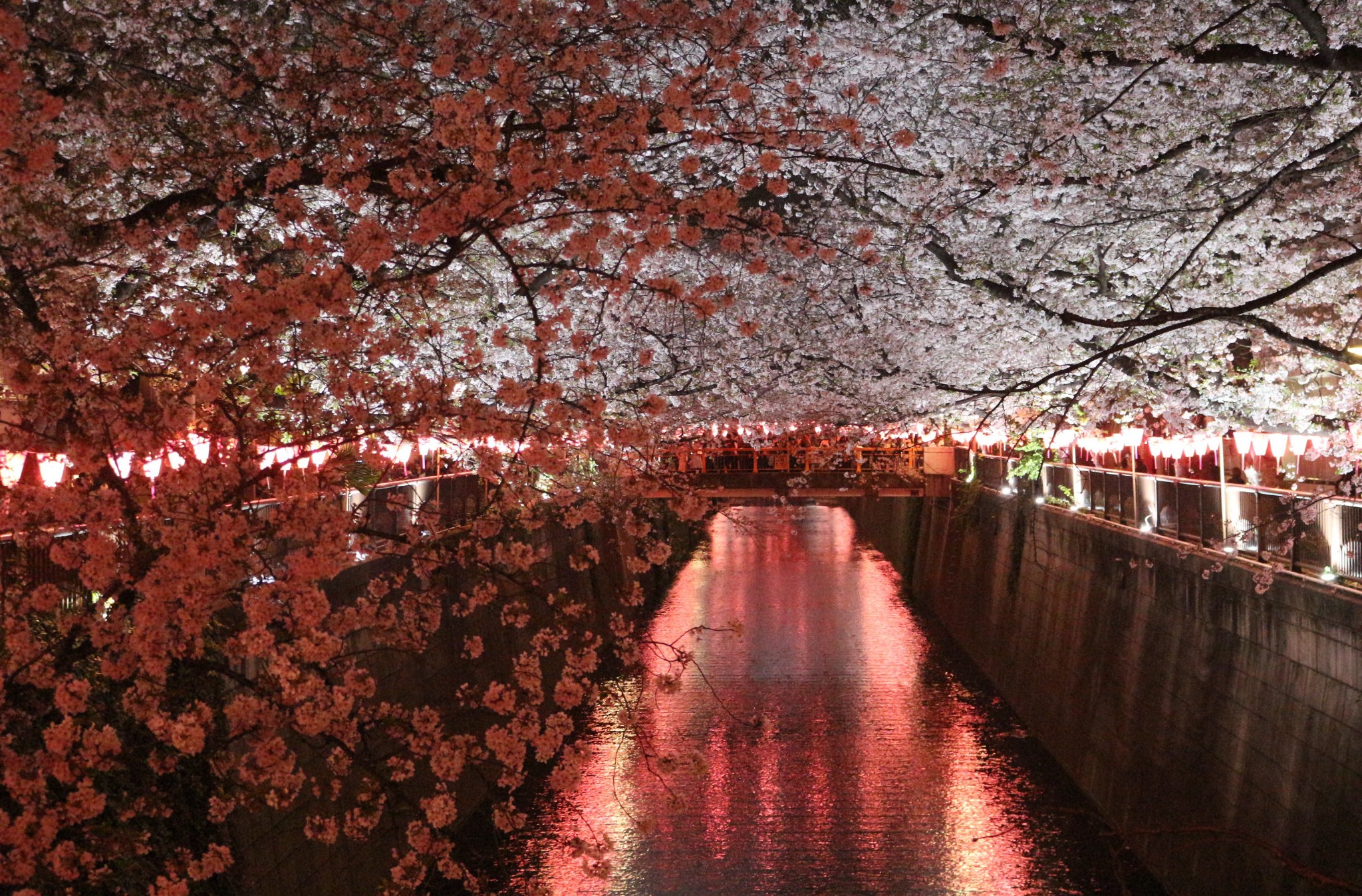 東京自助遊攻略