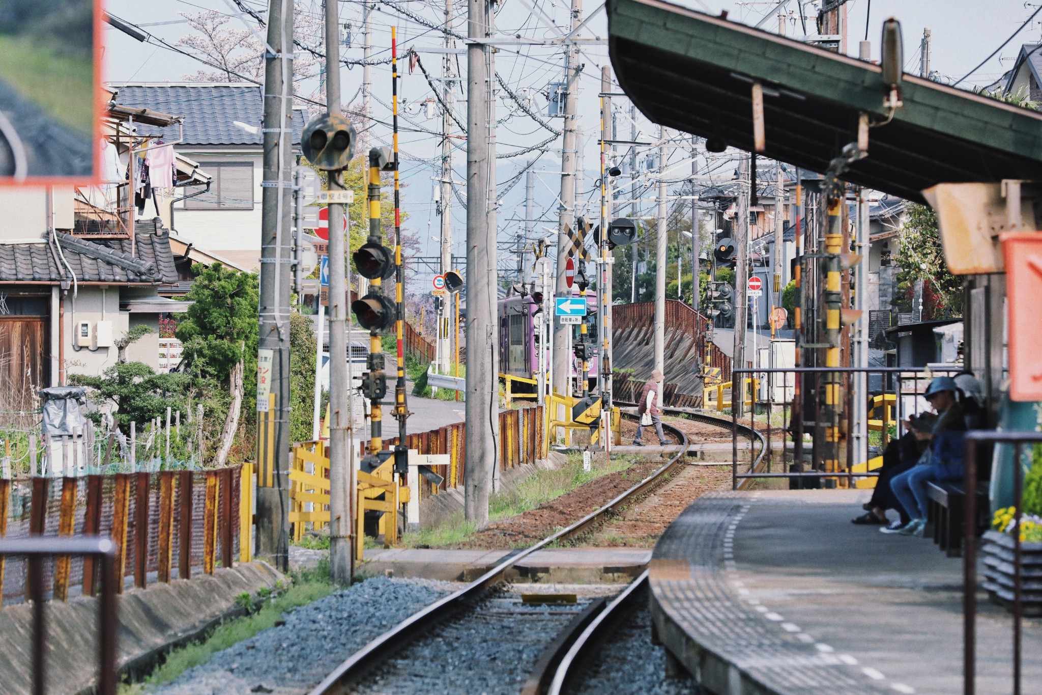 東京自助遊攻略