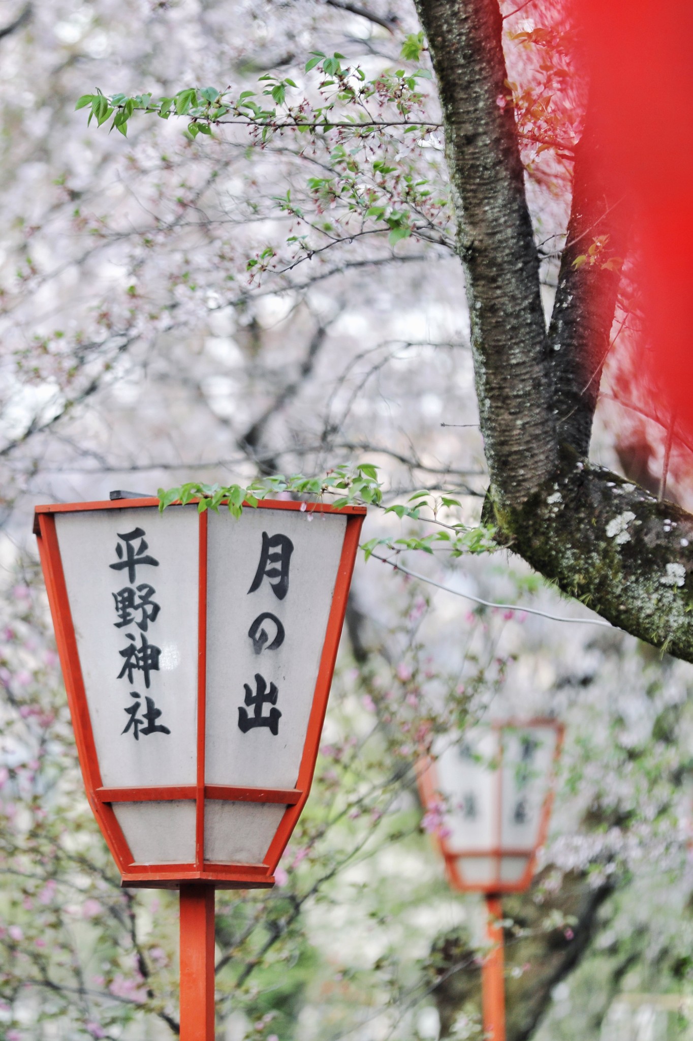 東京自助遊攻略