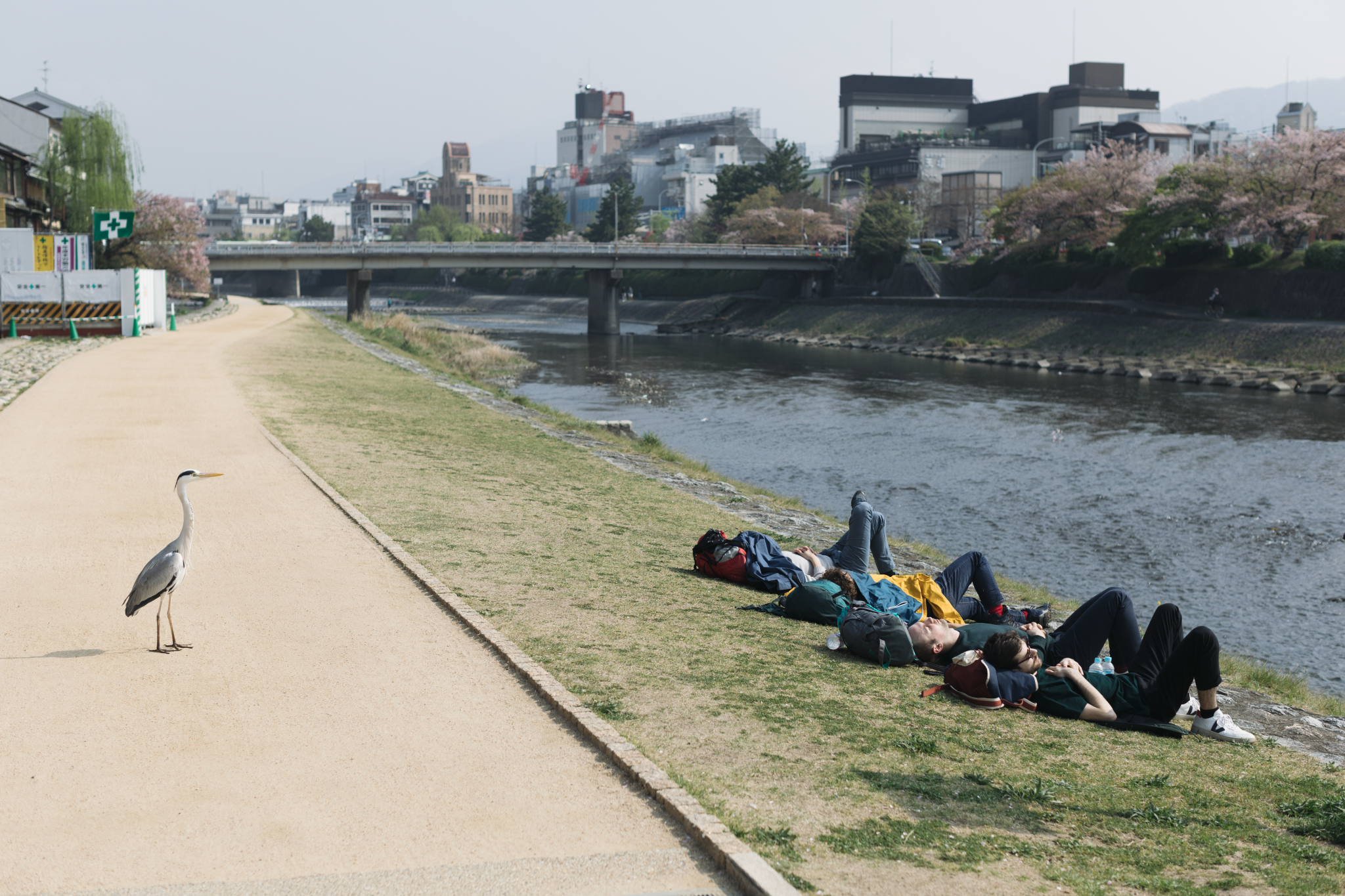 東京自助遊攻略