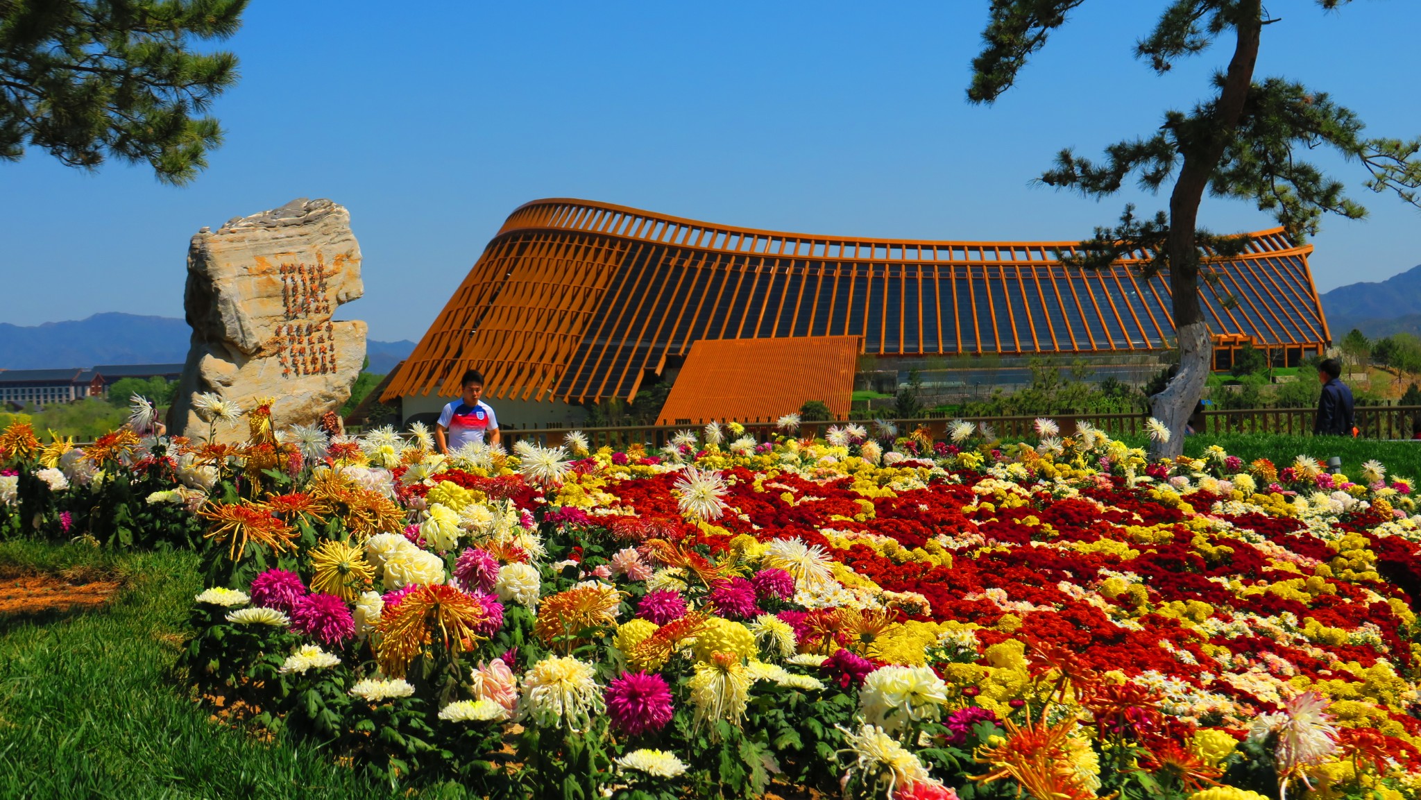 2019年5月1--4日北京延慶世博園,金山嶺長城,昌黎華夏酒莊遊